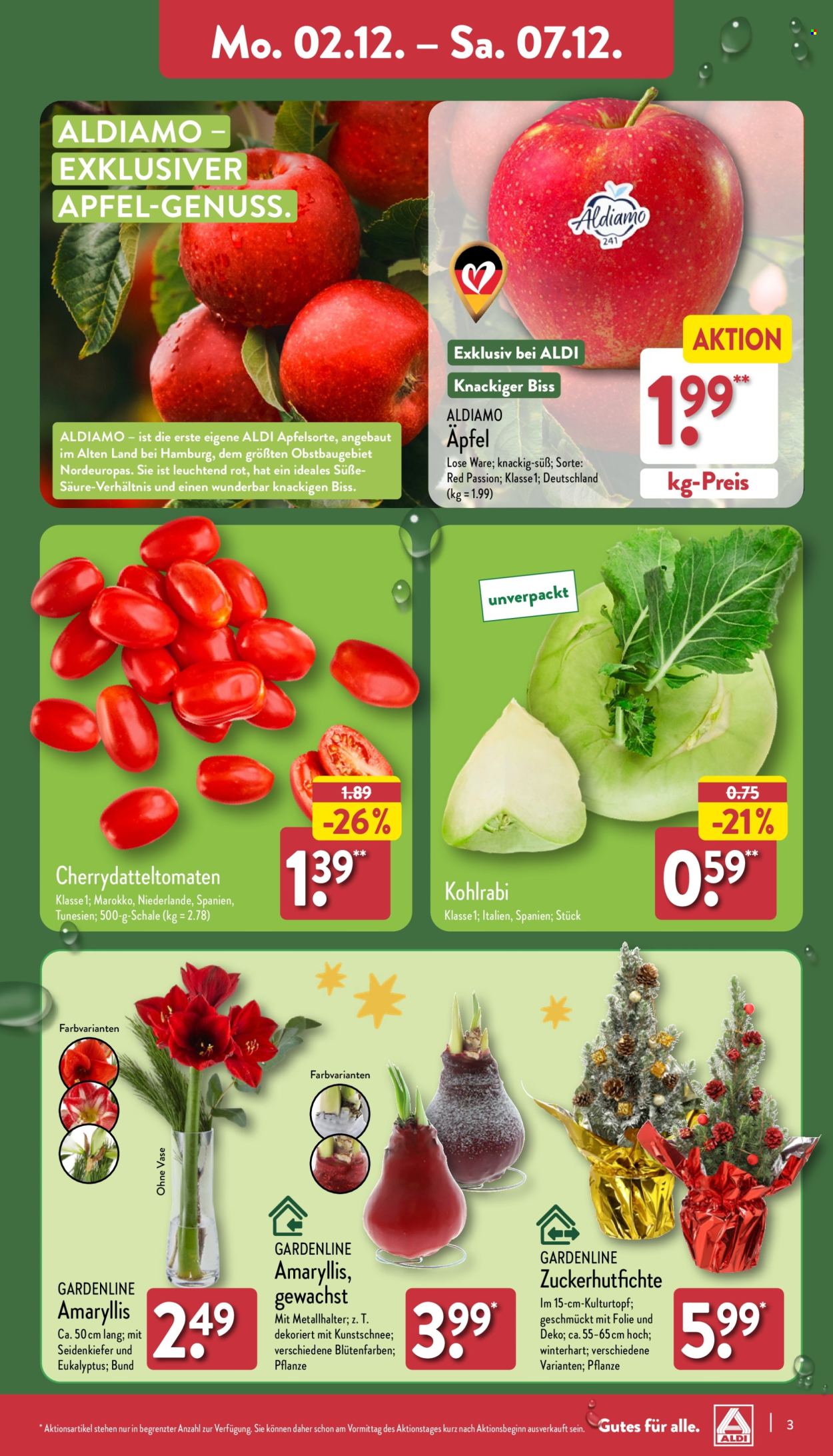 ALDI Nord Prospekte  - 2.12.2024 - 7.12.2024. Seite 3