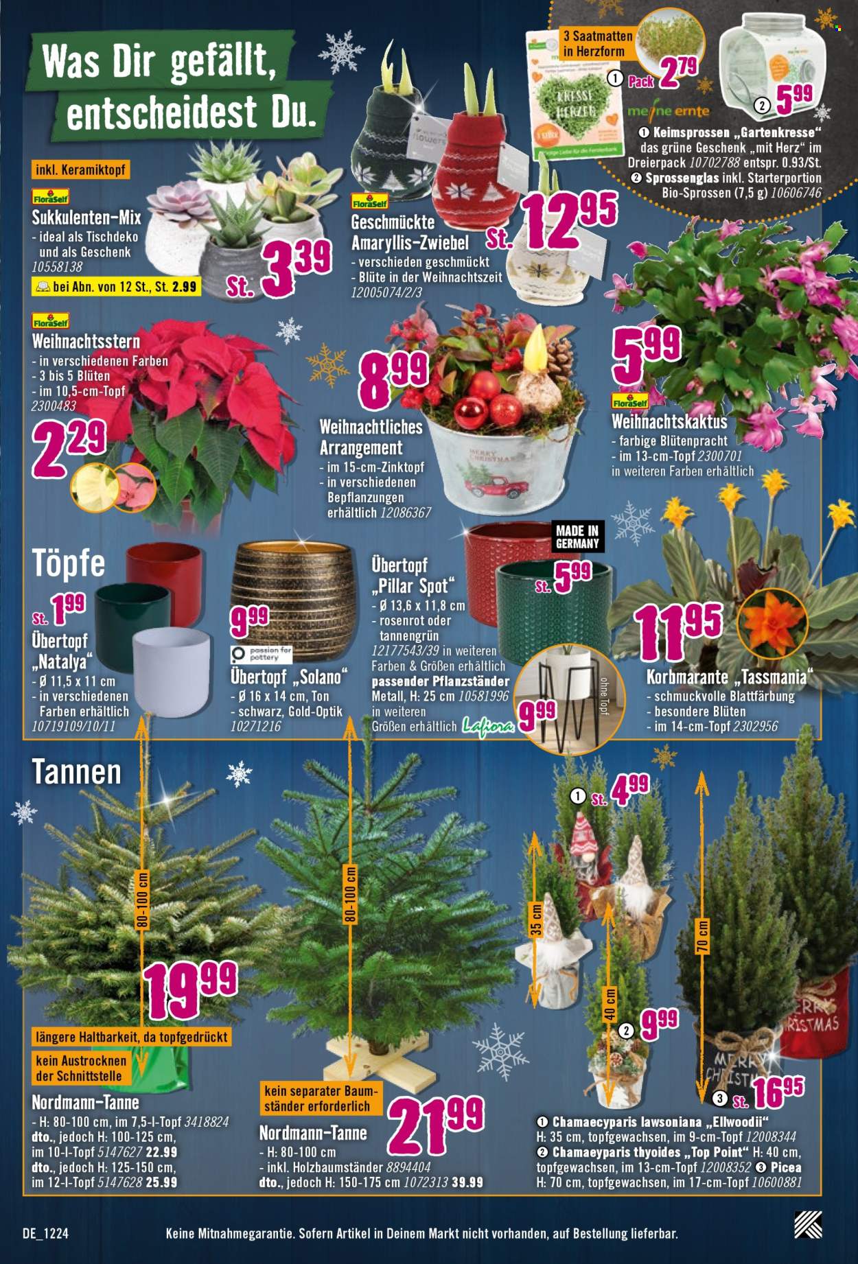 Hornbach Prospekte  - 30.11.2024 - 25.12.2024. Seite 3