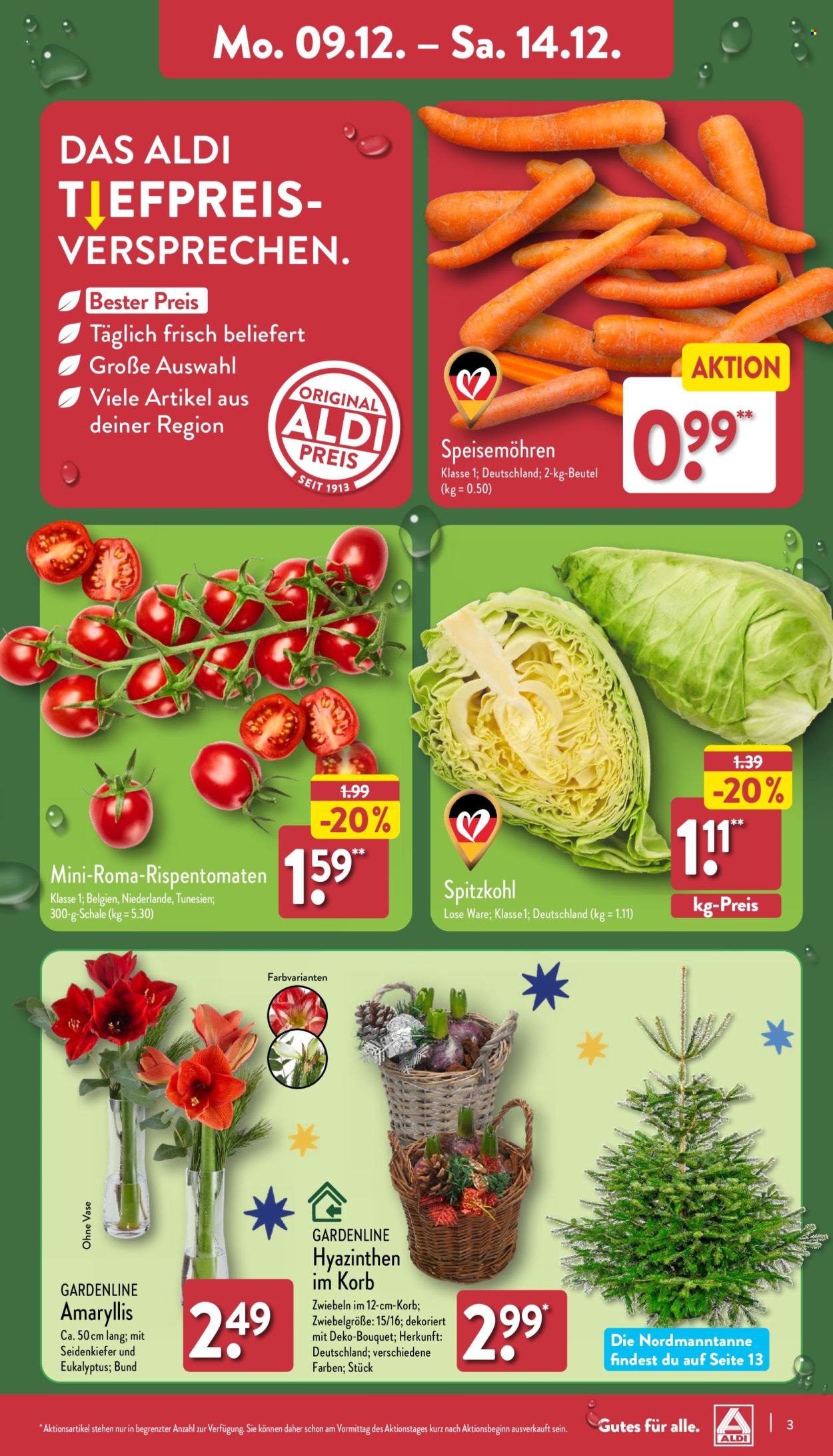 ALDI Nord Prospekte  - 9.12.2024 - 14.12.2024. Seite 3