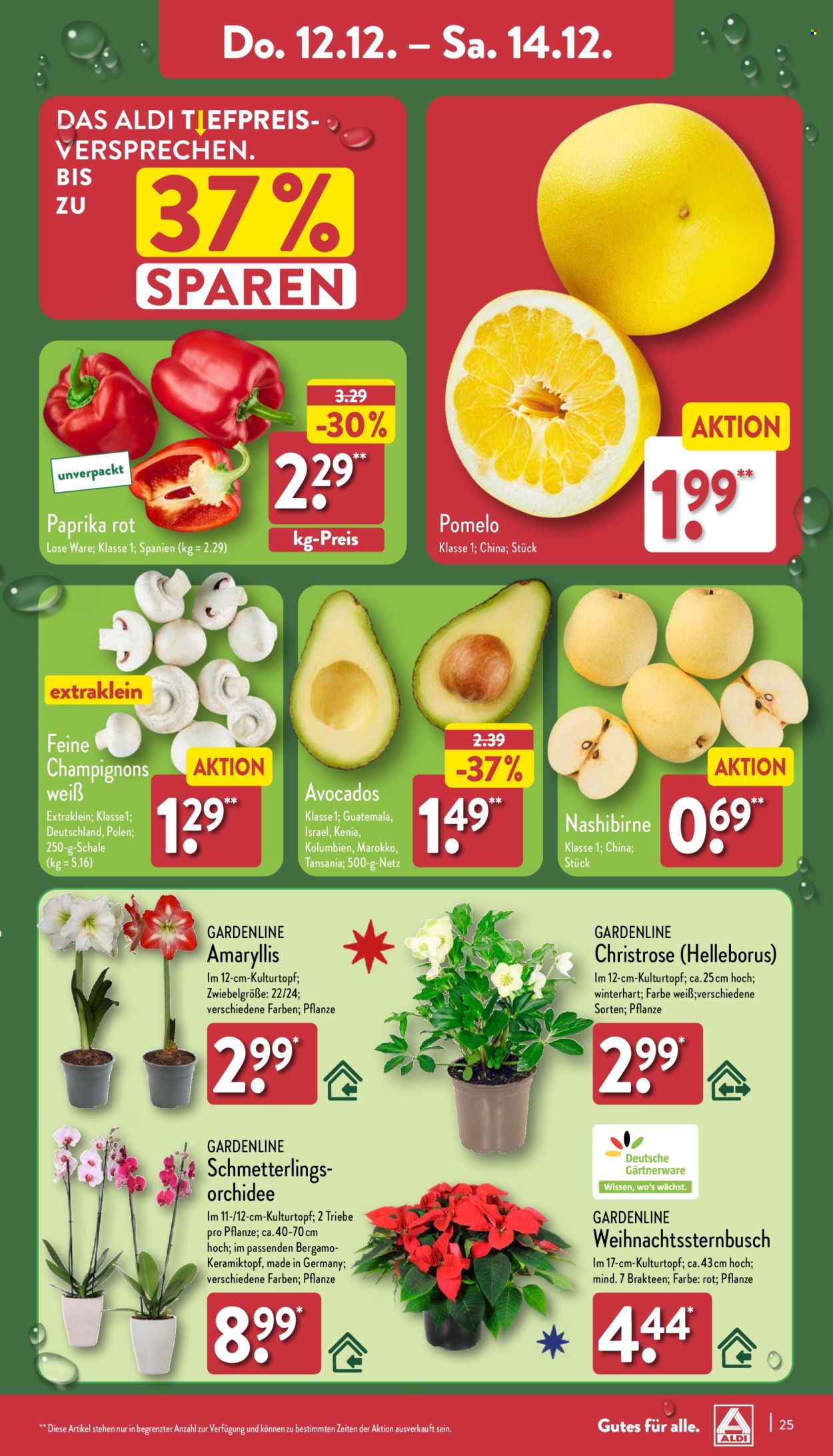ALDI Nord Prospekte  - 9.12.2024 - 14.12.2024. Seite 25