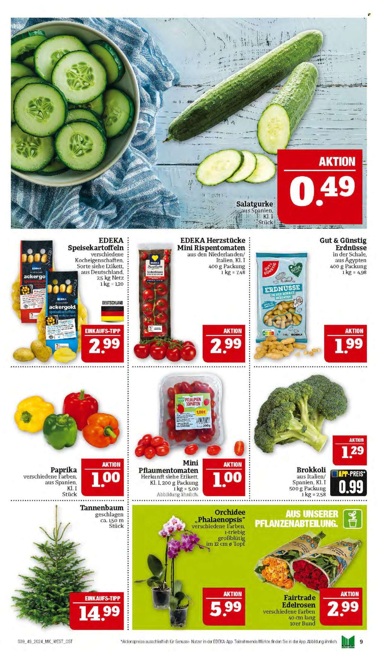 Marktkauf Prospekte  - 2.12.2024 - 7.12.2024. Seite 9