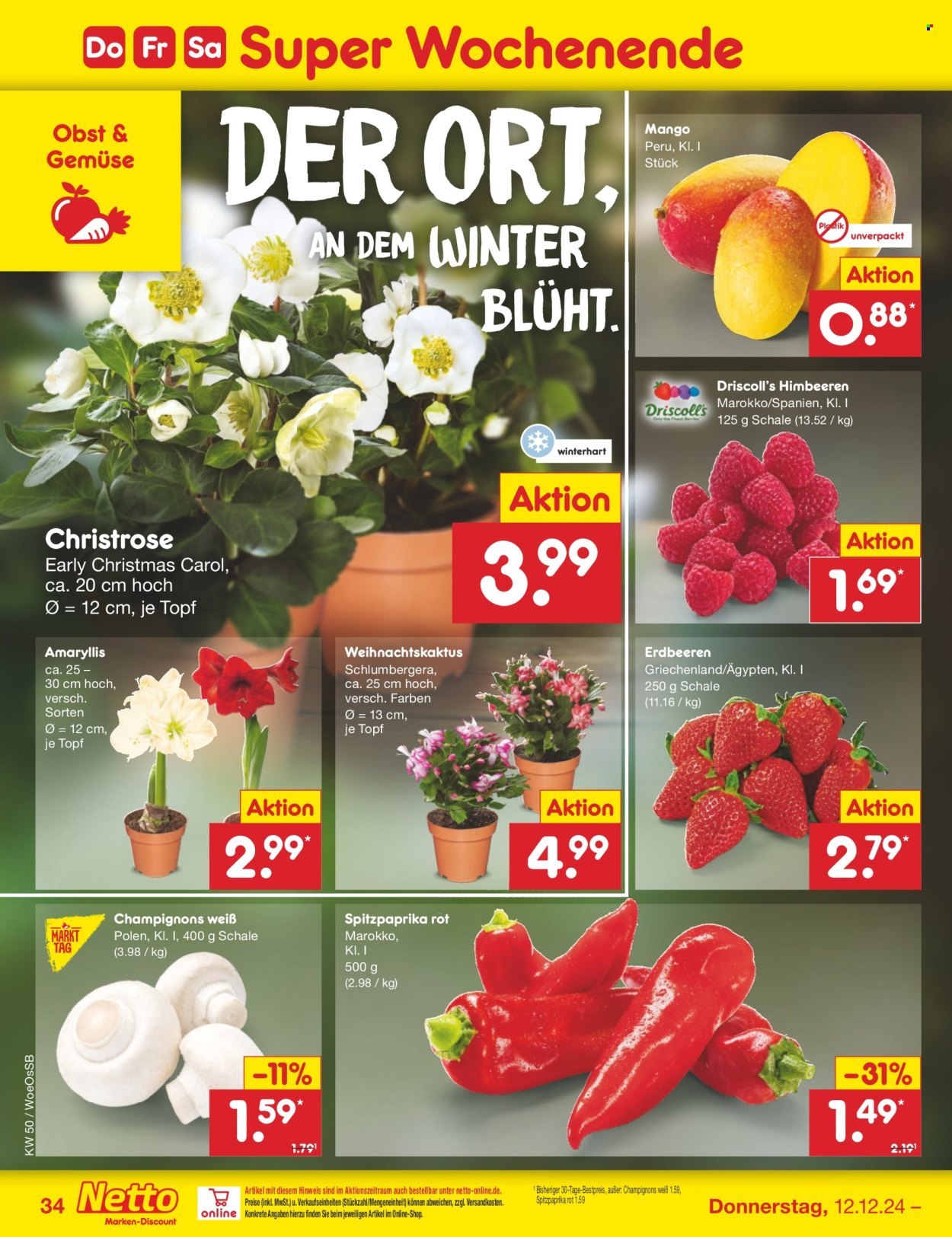 Netto Marken-Discount Prospekte  - 9.12.2024 - 14.12.2024. Seite 41