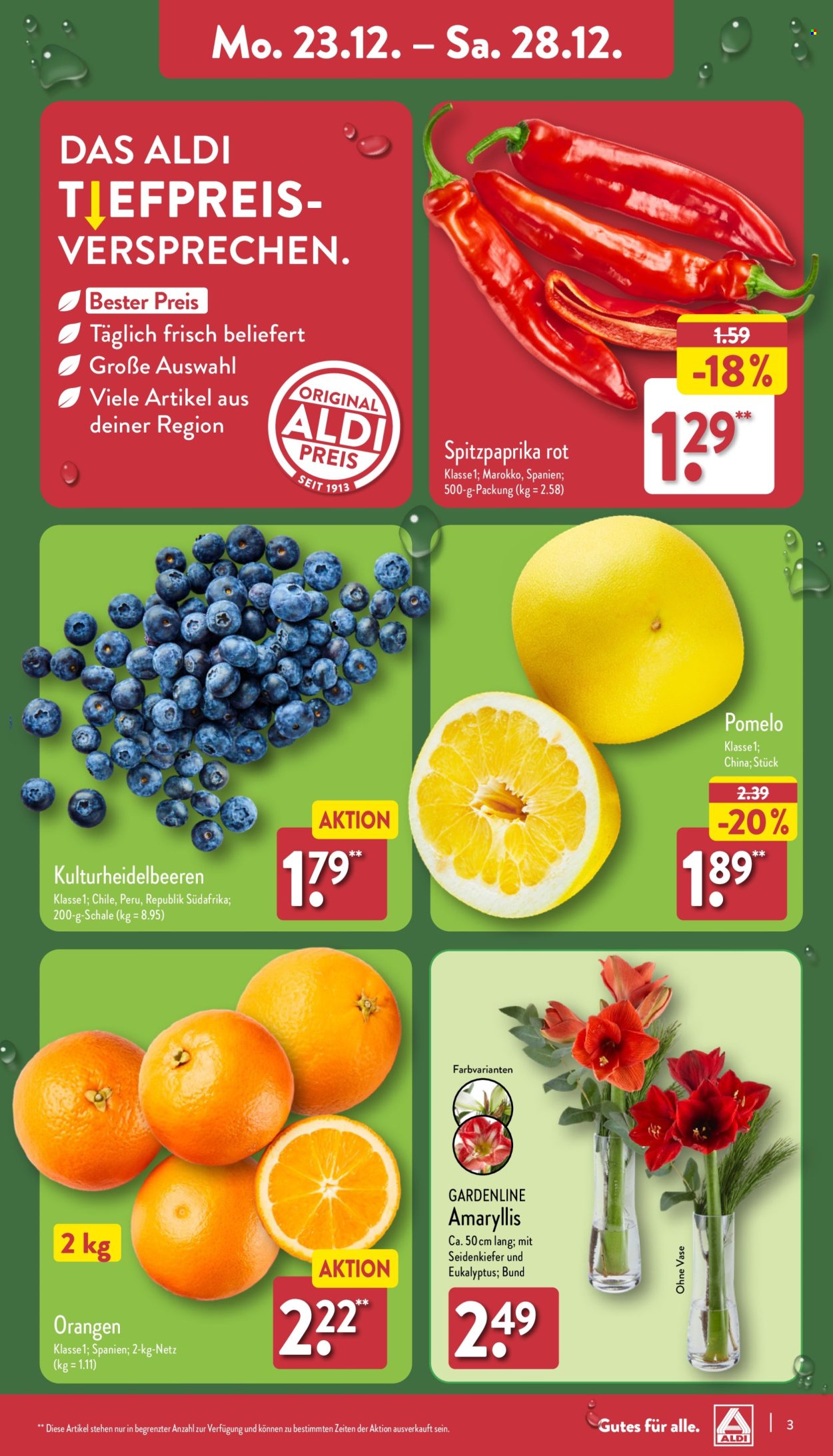 ALDI Nord Prospekte  - 23.12.2024 - 28.12.2024. Seite 3