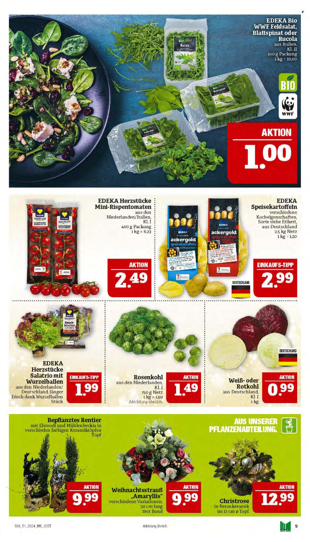 Marktkauf Prospekte  - 16.12.2024 - 21.12.2024. Seite 9