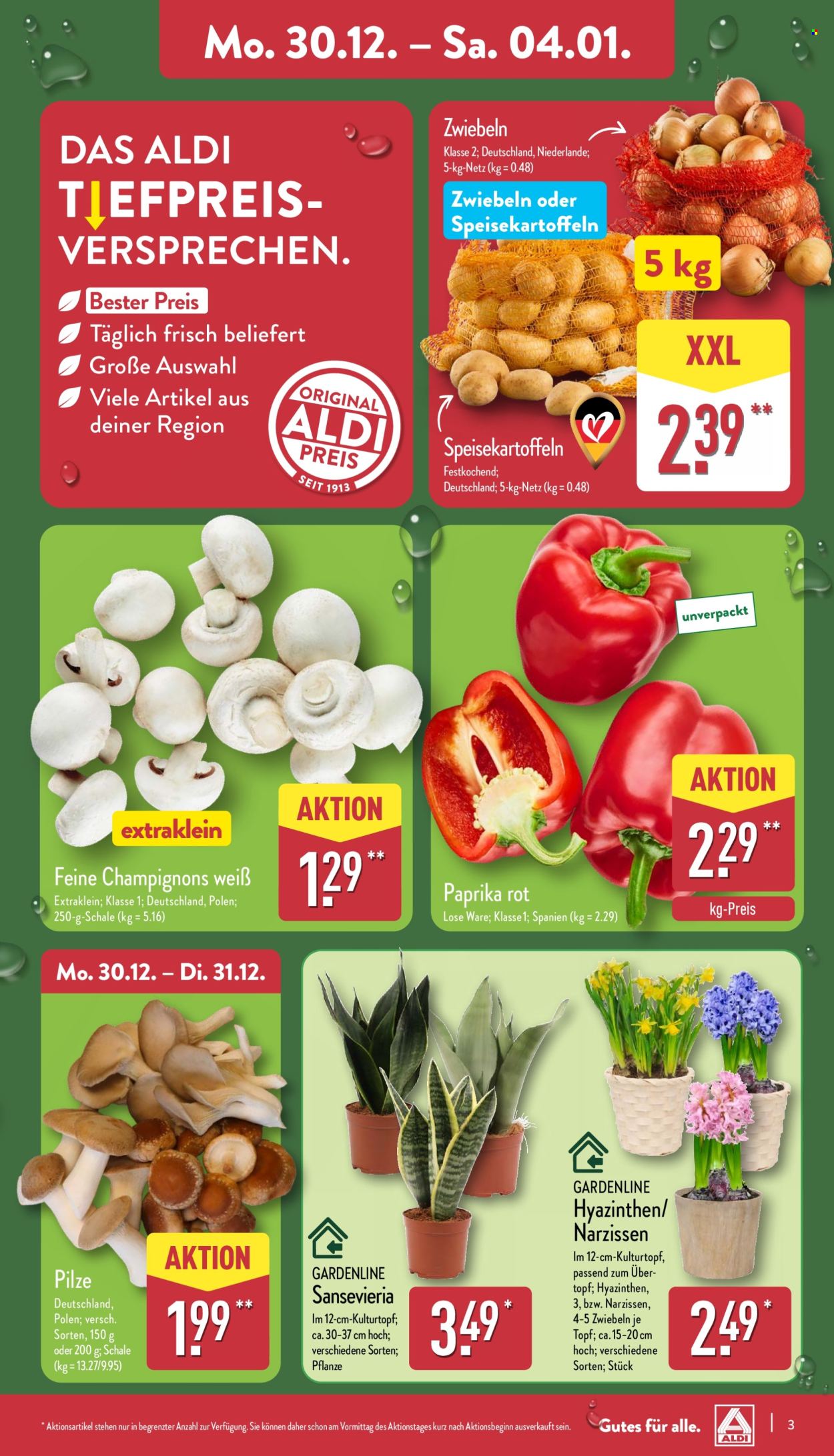 ALDI Nord Prospekte  - 30.12.2024 - 4.01.2025. Seite 3