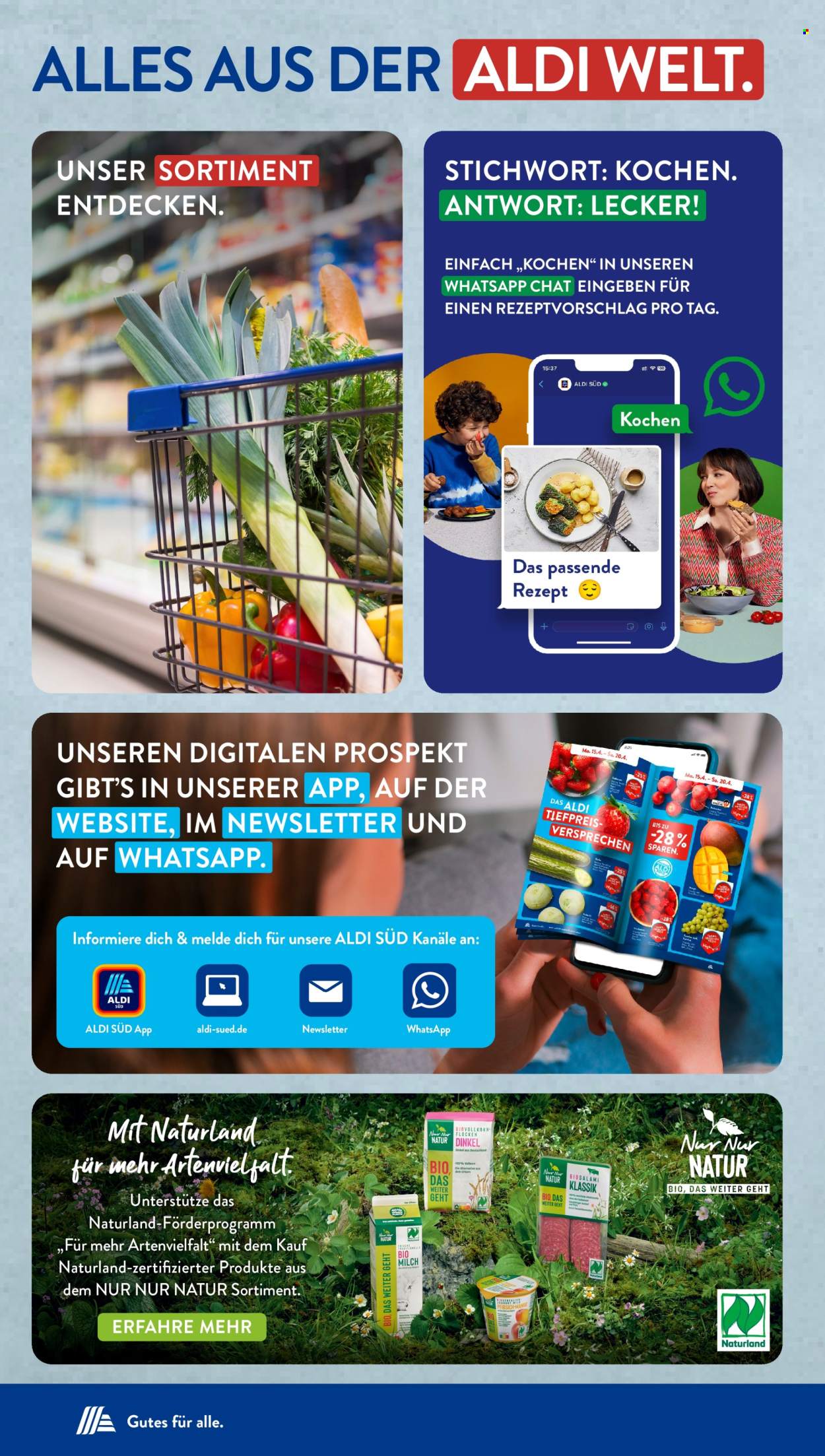 ALDI SÜD Prospekte  - 30.12.2024 - 4.01.2025. Seite 51