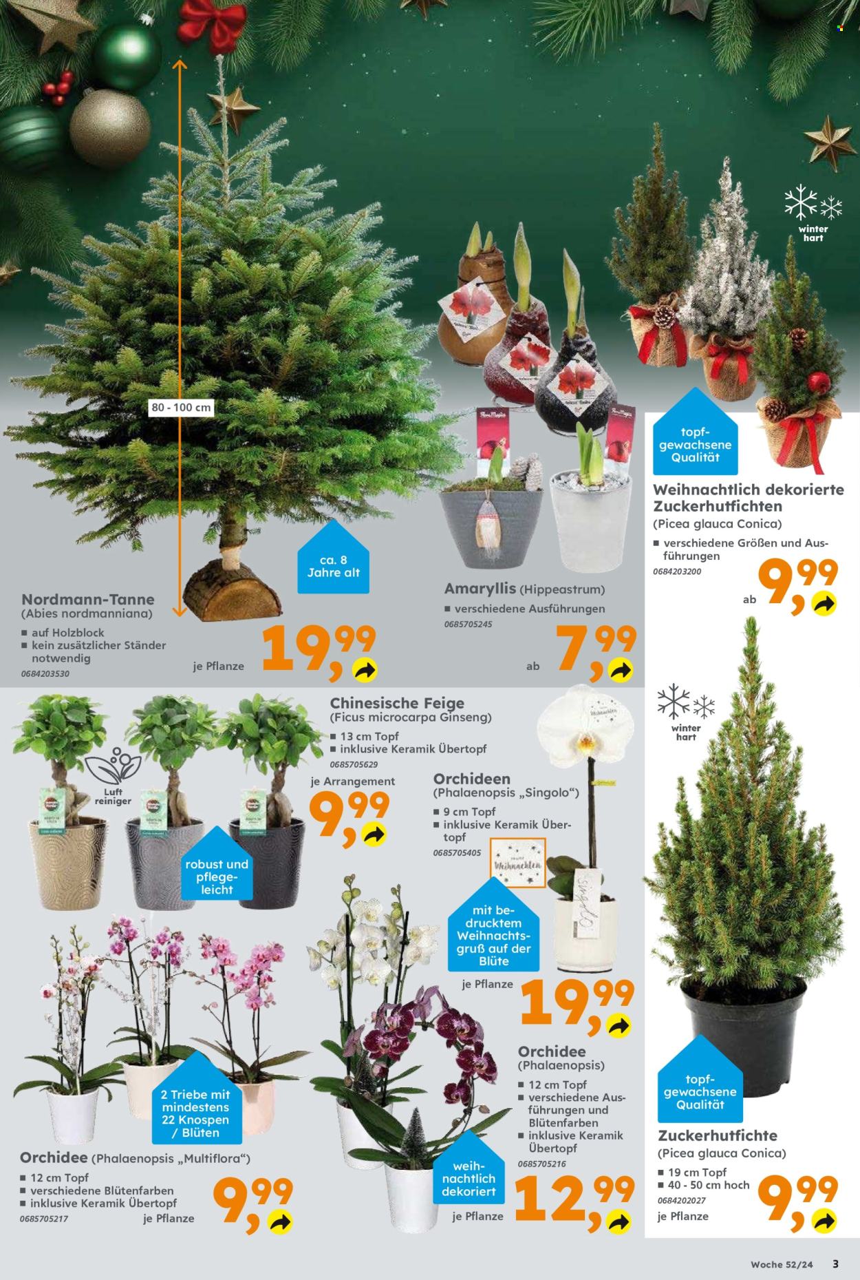 Globus Baumarkt Prospekte  - 23.12.2024 - 28.12.2024. Seite 3