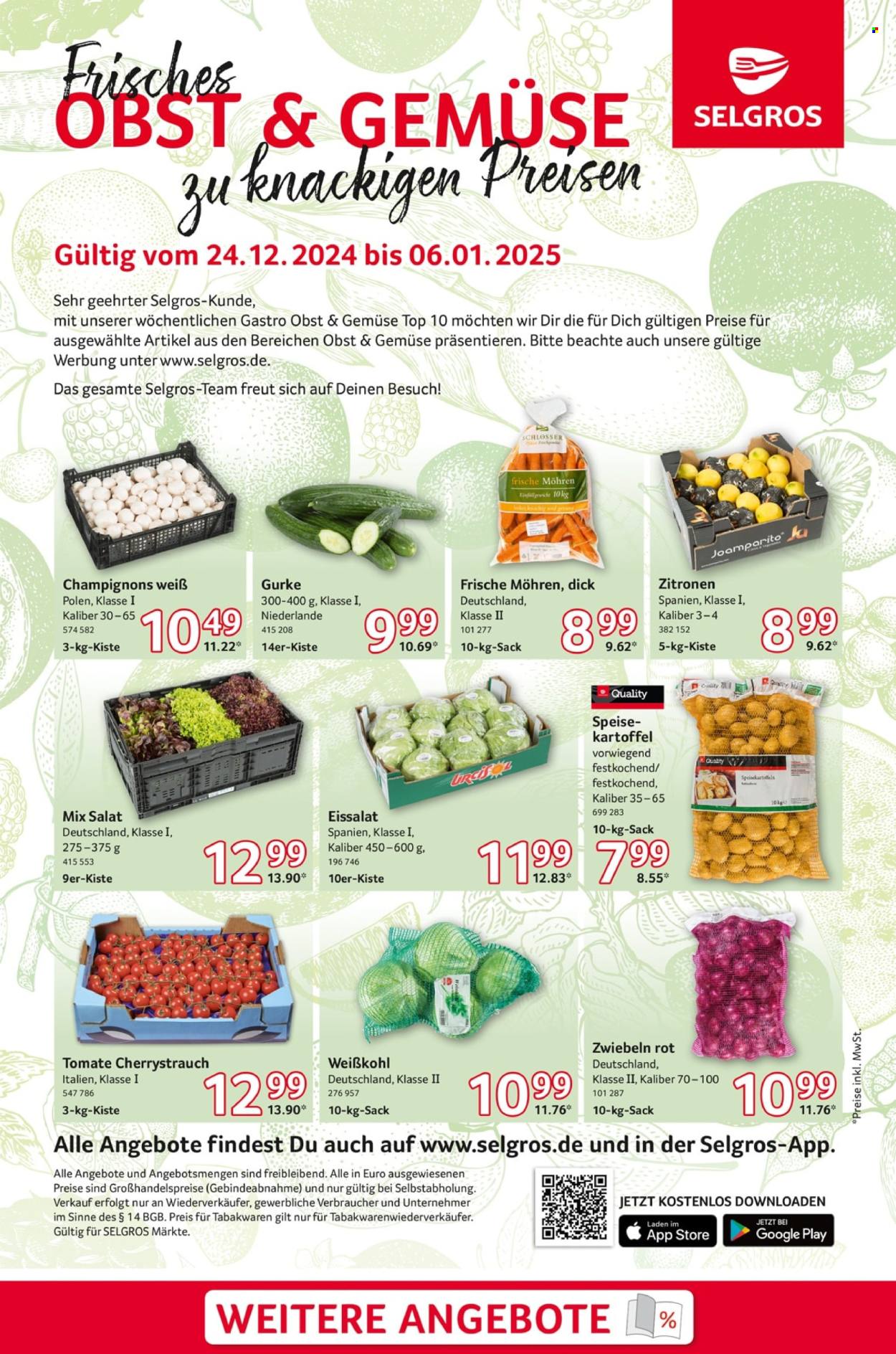 Selgros Prospekte  - 24.12.2024 - 6.01.2025. Seite 1