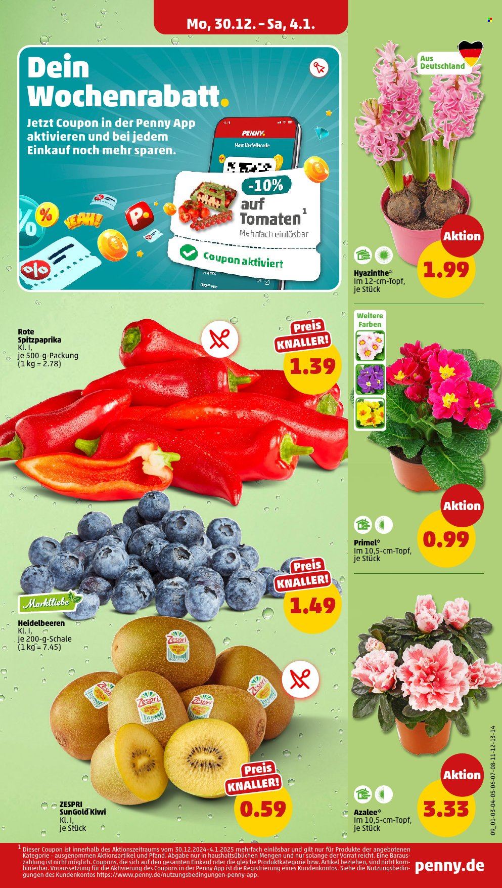 Penny Prospekte  - 30.12.2024 - 4.01.2025. Seite 9