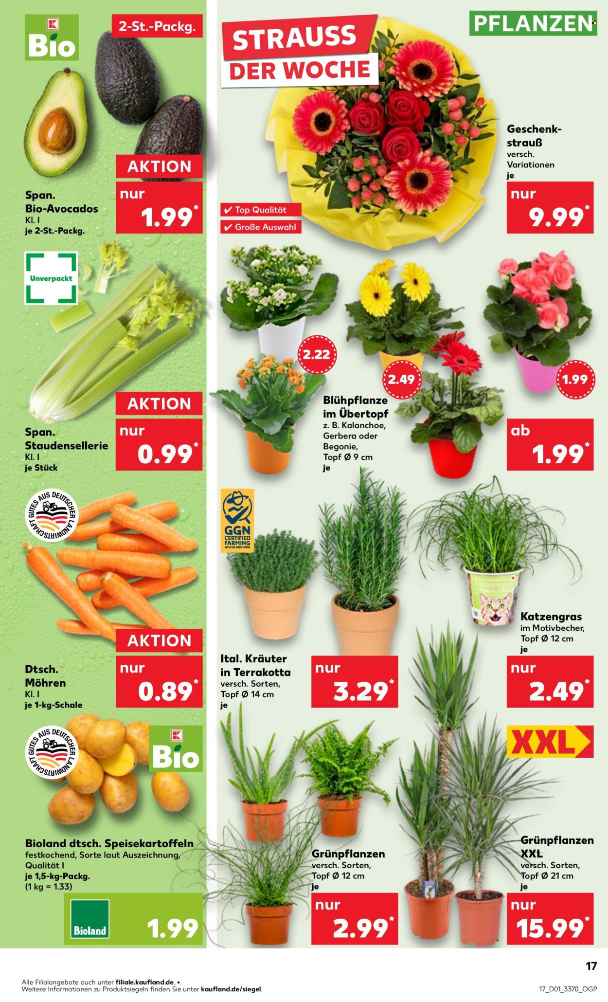 Kaufland Prospekte  - 2.01.2025 - 8.01.2025. Seite 17