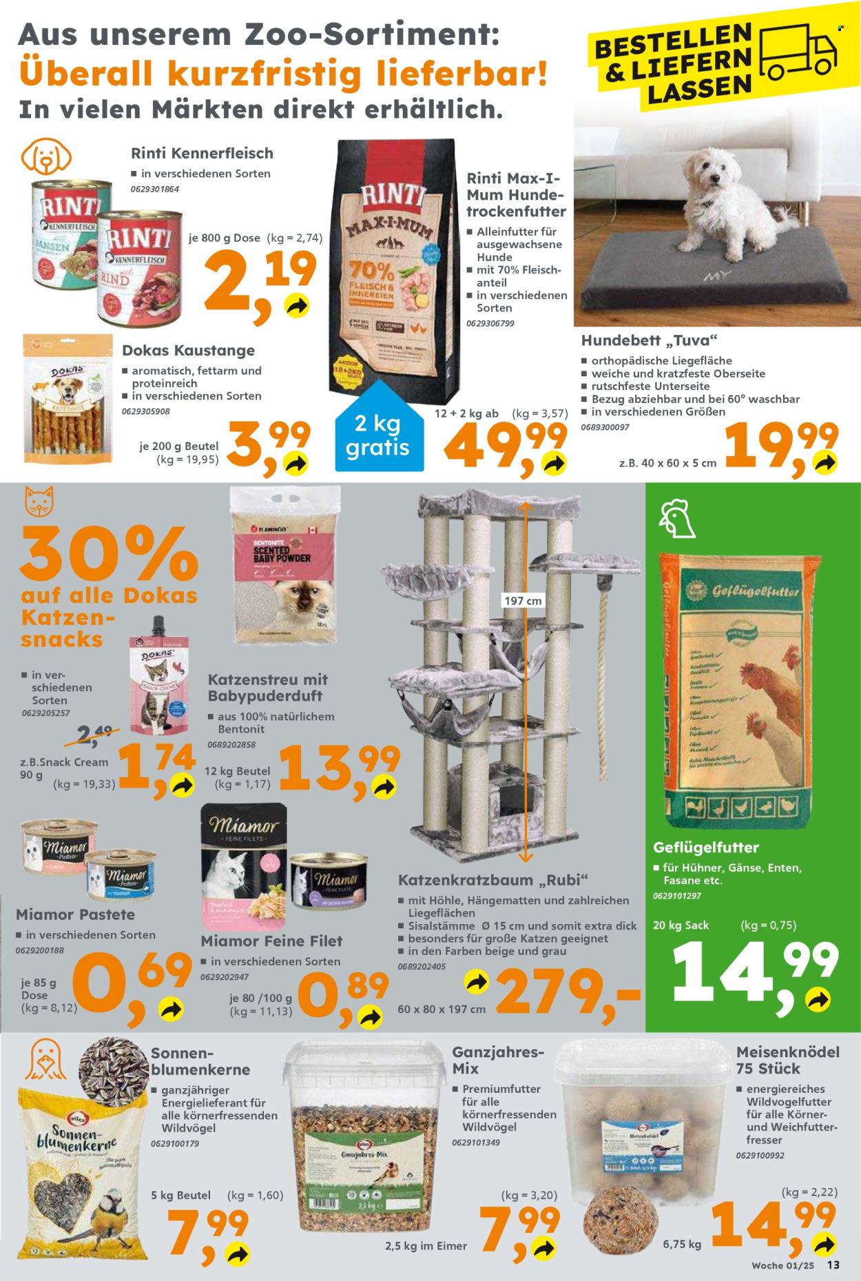 Globus Baumarkt Prospekte  - 30.12.2024 - 4.01.2025. Seite 13
