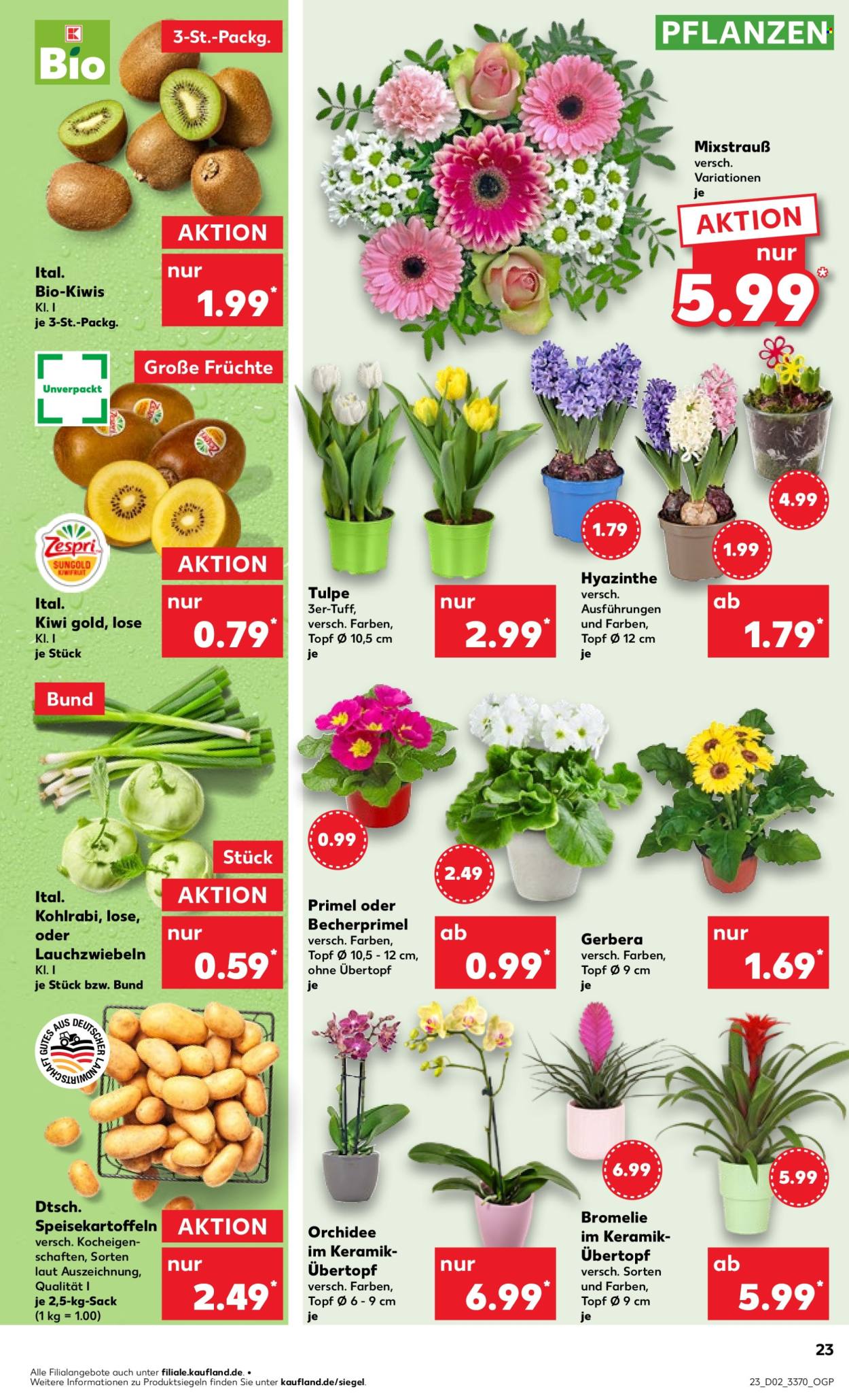 Kaufland Prospekte  - 9.01.2025 - 15.01.2025. Seite 23
