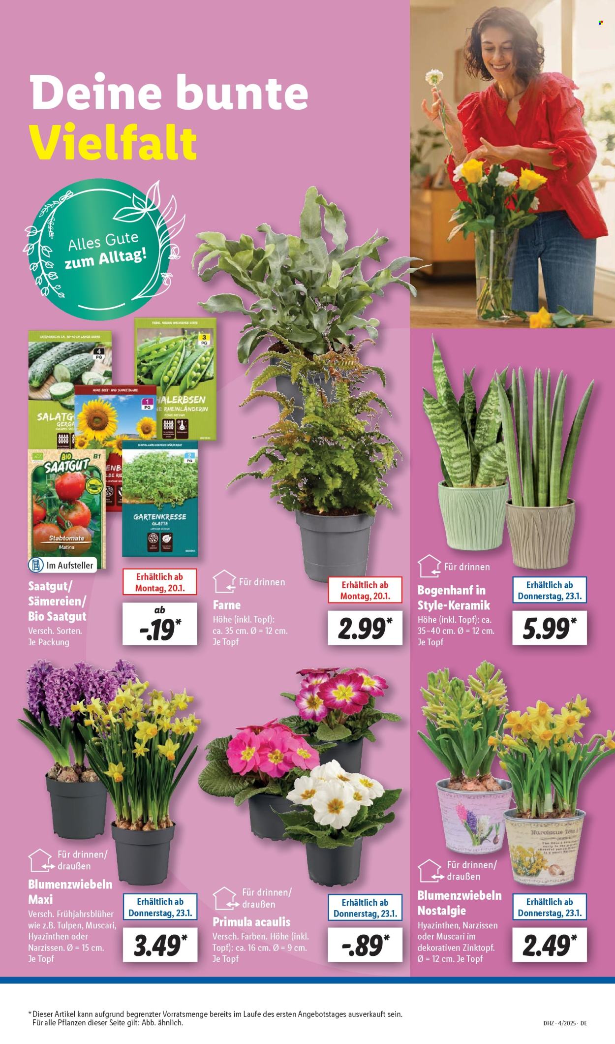 Lidl Prospekte  - 20.01.2025 - 25.01.2025. Seite 5