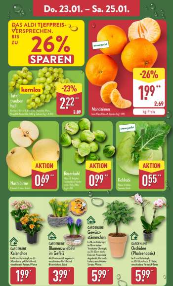thumbnail - GARDENLINE Blumenzwiebeln im Gefäß