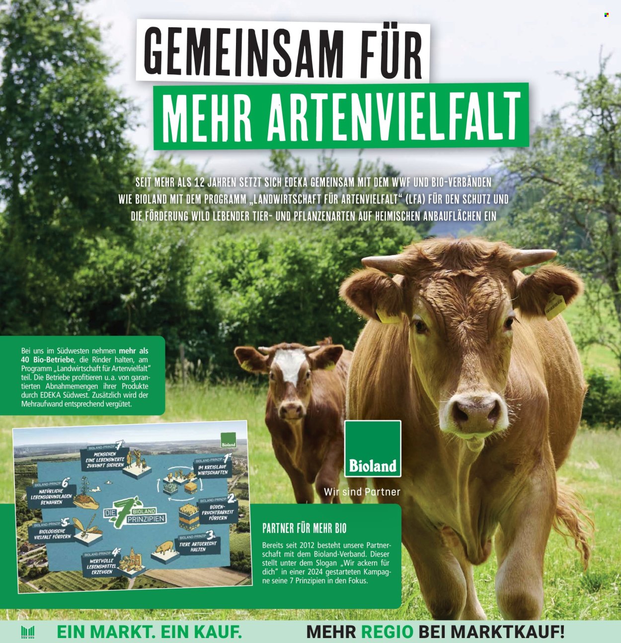 Marktkauf Prospekte  - 13.01.2025 - 18.01.2025. Seite 14