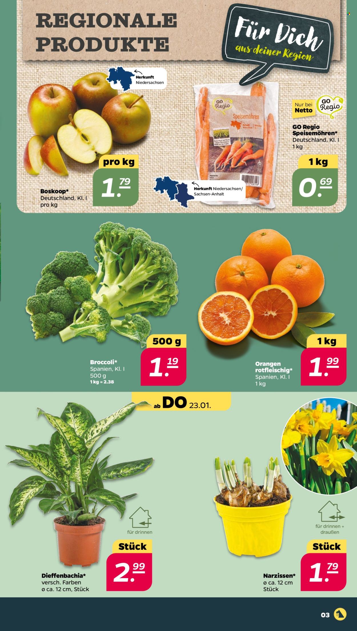 Netto Prospekte  - 20.01.2025 - 25.01.2025. Seite 3