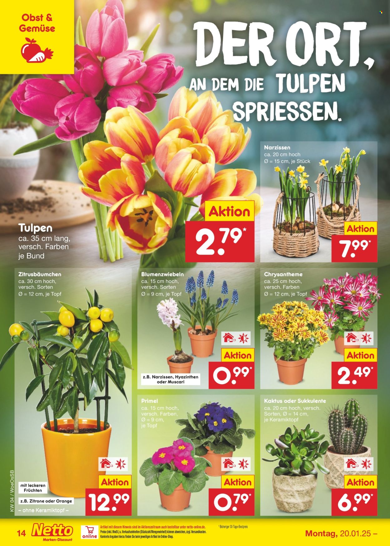 Netto Marken-Discount Prospekte  - 20.01.2025 - 25.01.2025. Seite 22