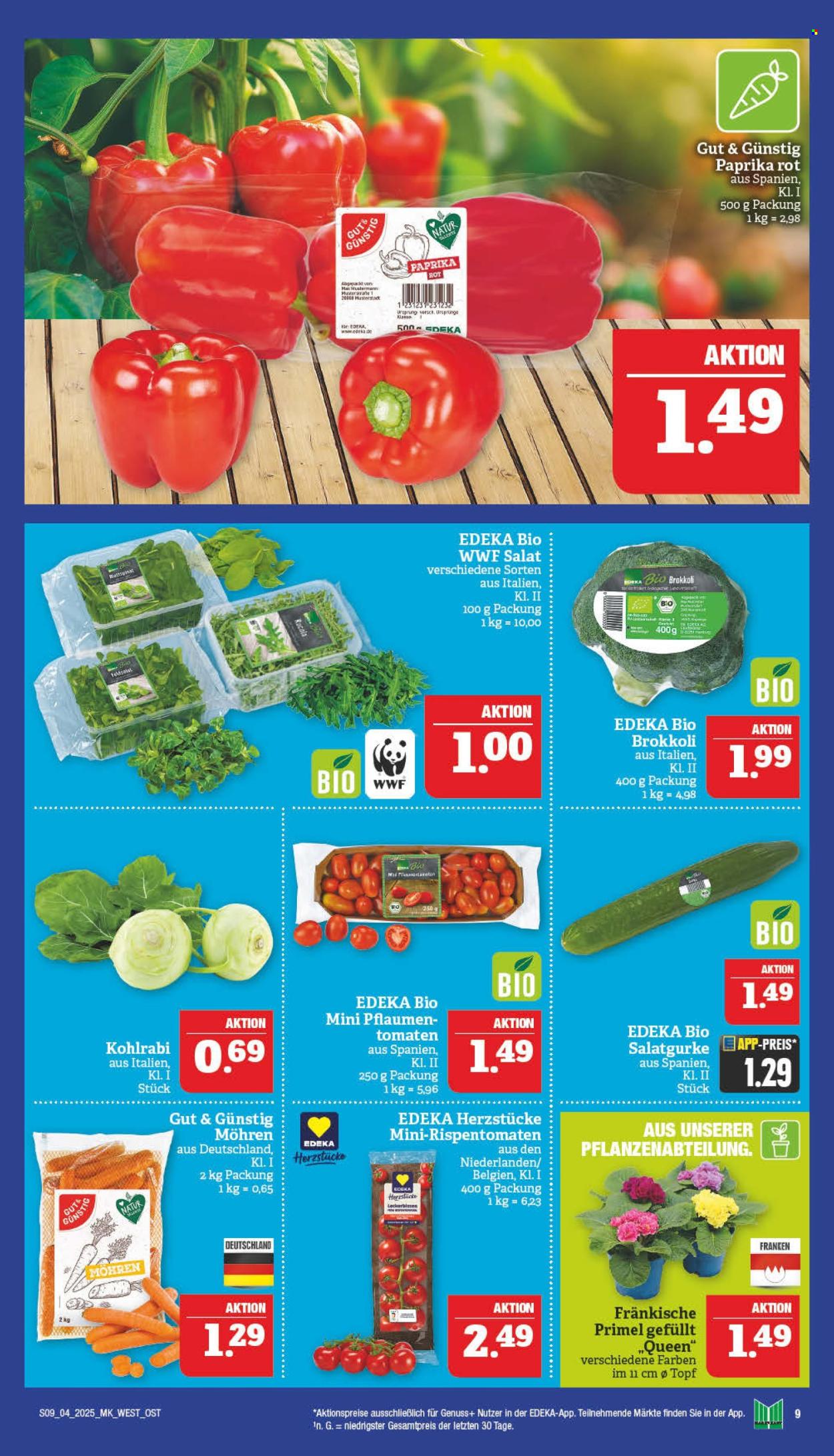 Marktkauf Prospekte  - 20.01.2025 - 25.01.2025. Seite 9