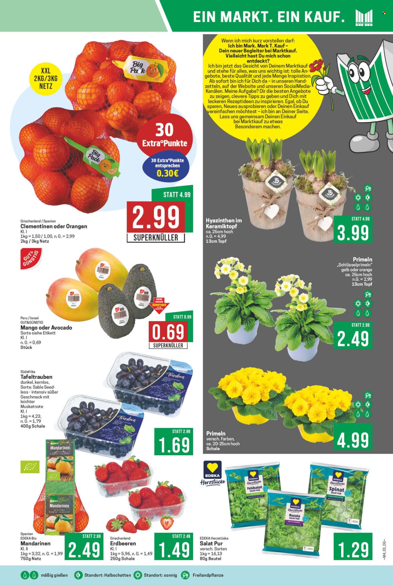 Marktkauf Prospekte  - 20.01.2025 - 25.01.2025. Seite 9