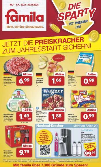Prospekte famila - 20.01.2025 - 25.01.2025.
