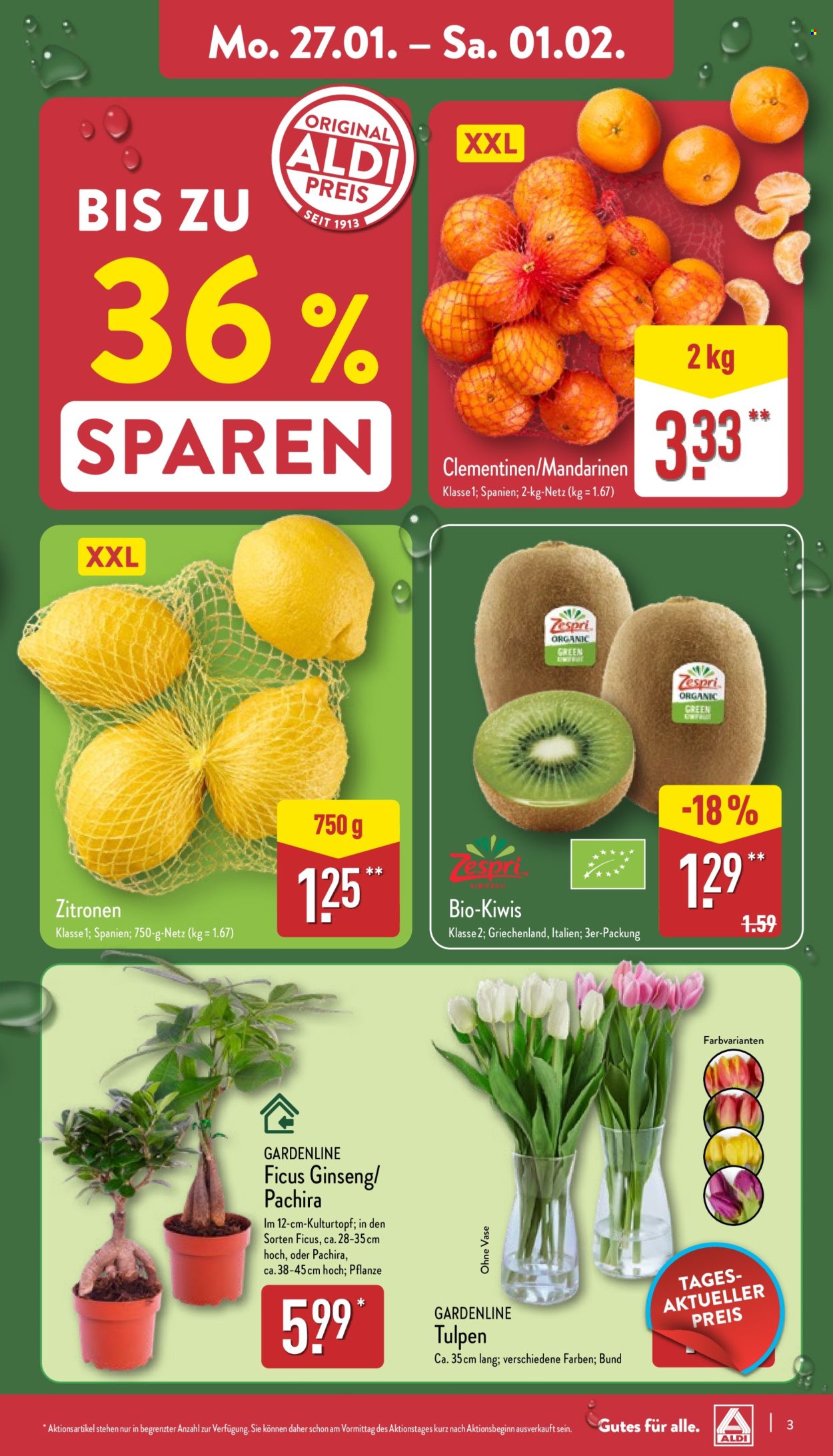 ALDI Nord Prospekte  - 27.01.2025 - 1.02.2025. Seite 3