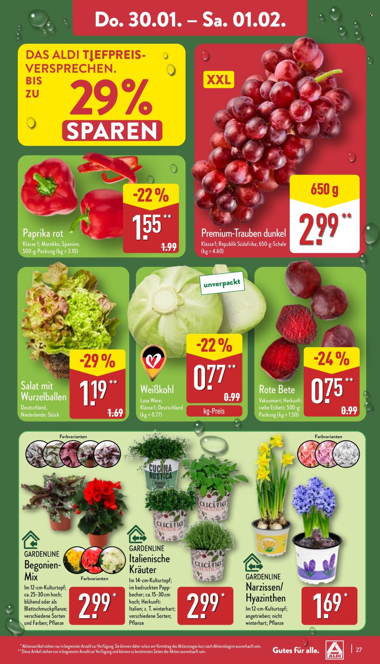 ALDI Nord Prospekte  - 27.01.2025 - 1.02.2025. Seite 27