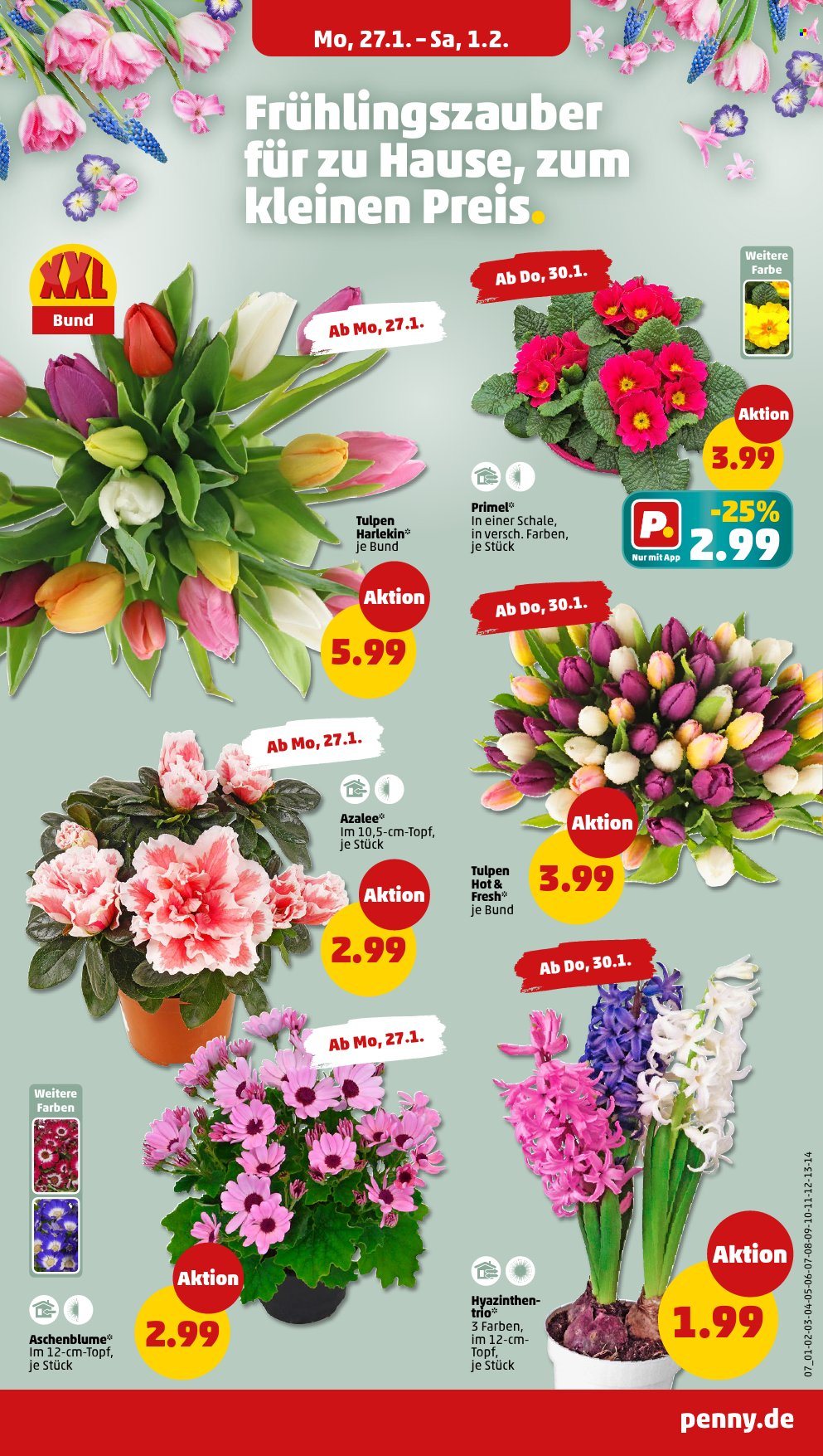 Penny Prospekte  - 27.01.2025 - 1.02.2025. Seite 7