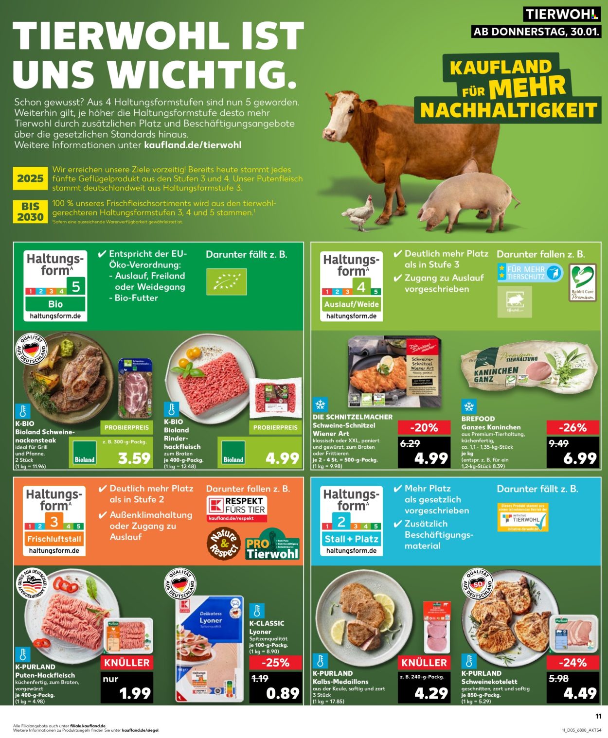Kaufland Prospekte  - 30.01.2025 - 5.02.2025. Seite 11