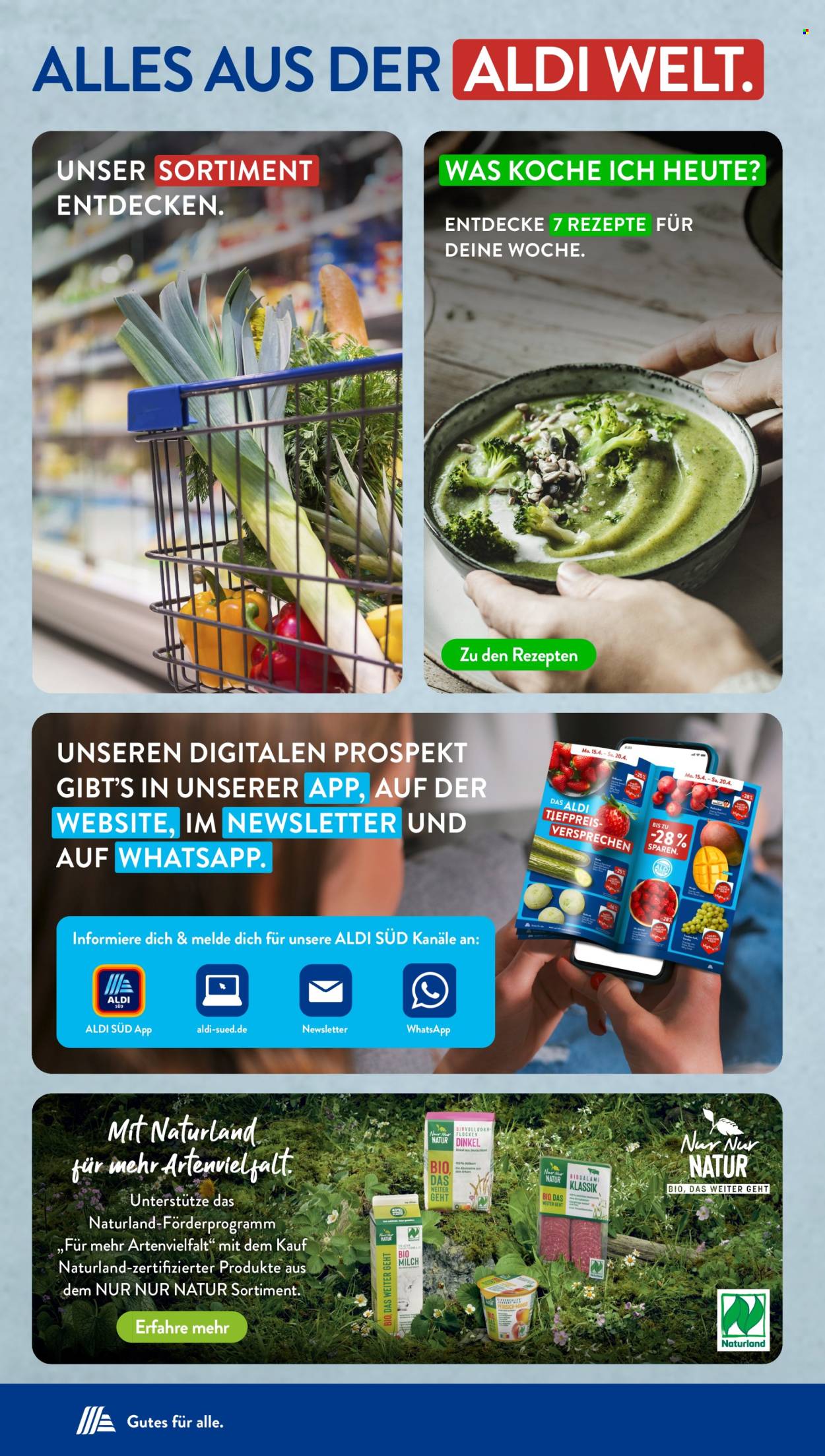 ALDI SÜD Prospekte  - 3.02.2025 - 8.02.2025. Seite 40