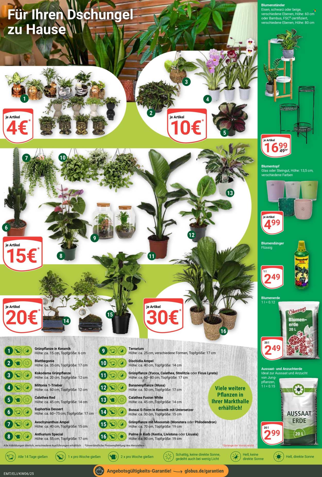Globus Prospekte  - 3.02.2025 - 8.02.2025. Seite 5