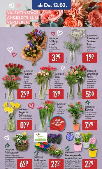 thumbnail - GARDENLINE Englische Stiftnarzissen