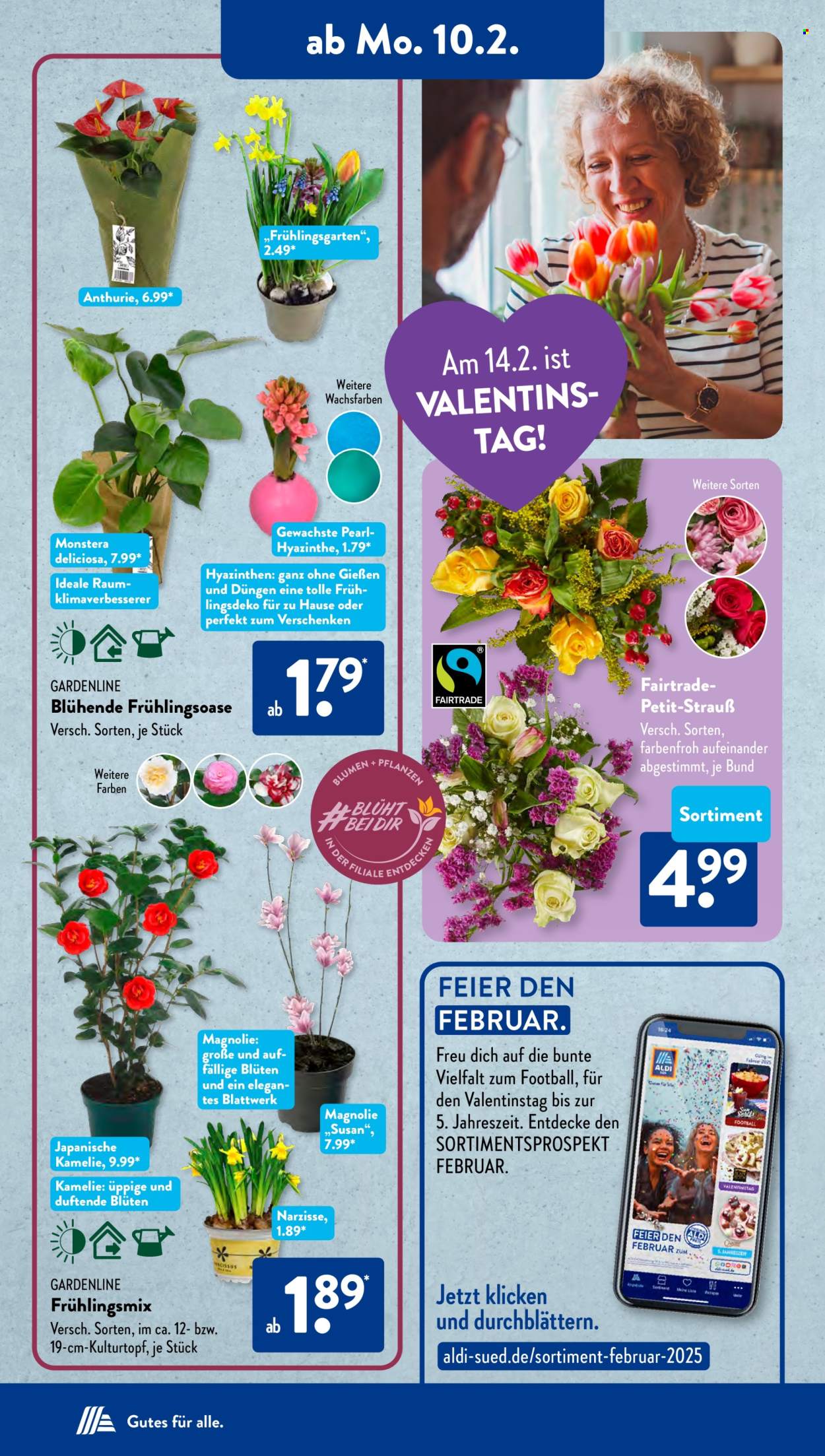 ALDI SÜD Prospekte  - 10.02.2025 - 15.02.2025. Seite 15