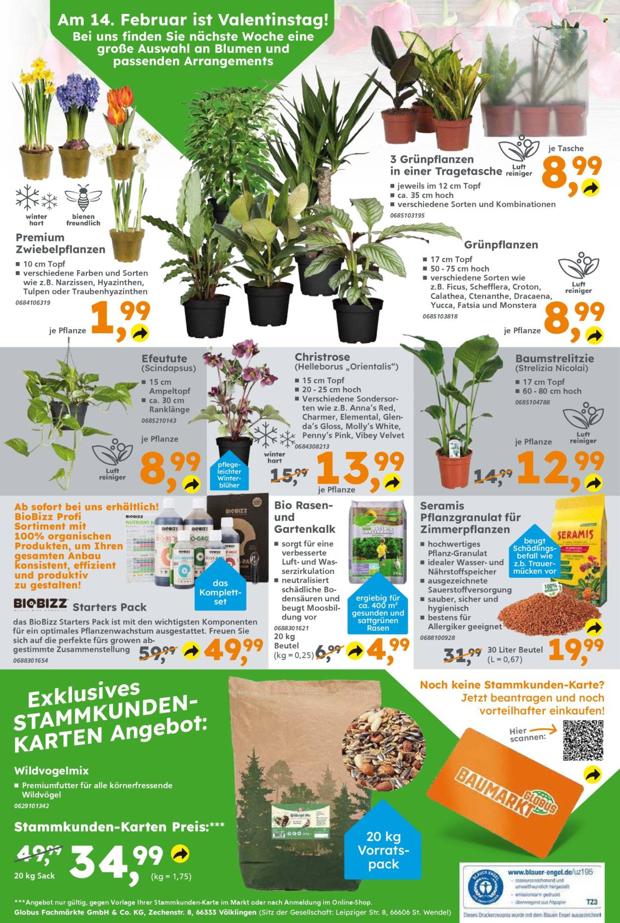 Globus Baumarkt Prospekte  - 3.02.2025 - 8.02.2025. Seite 16