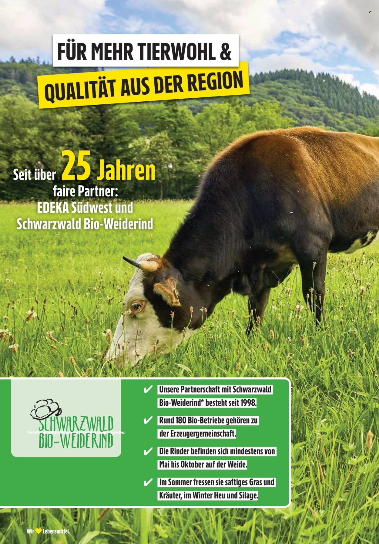 Edeka Prospekte  - 3.02.2025 - 8.02.2025. Seite 14