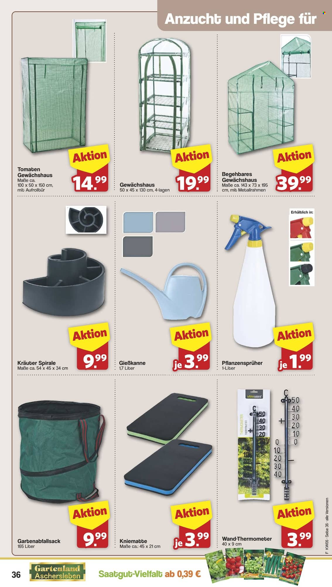 famila Prospekte  - 3.02.2025 - 8.02.2025. Seite 36
