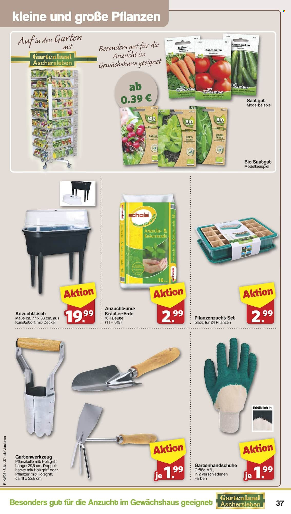 famila Prospekte  - 3.02.2025 - 8.02.2025. Seite 37