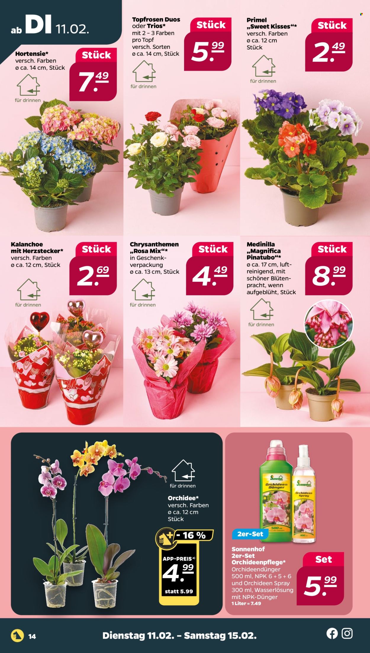 Netto Prospekte  - 10.02.2025 - 15.02.2025. Seite 14