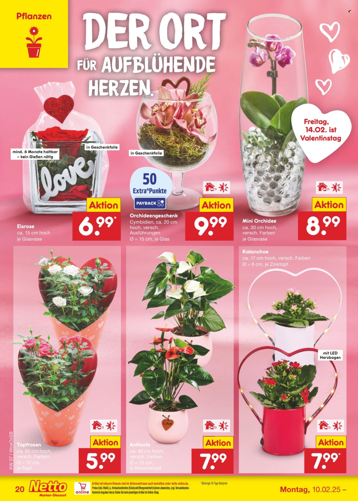 Netto Marken-Discount Prospekte  - 10.02.2025 - 15.02.2025. Seite 30
