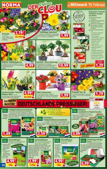 thumbnail - Mini-Kalanchoe