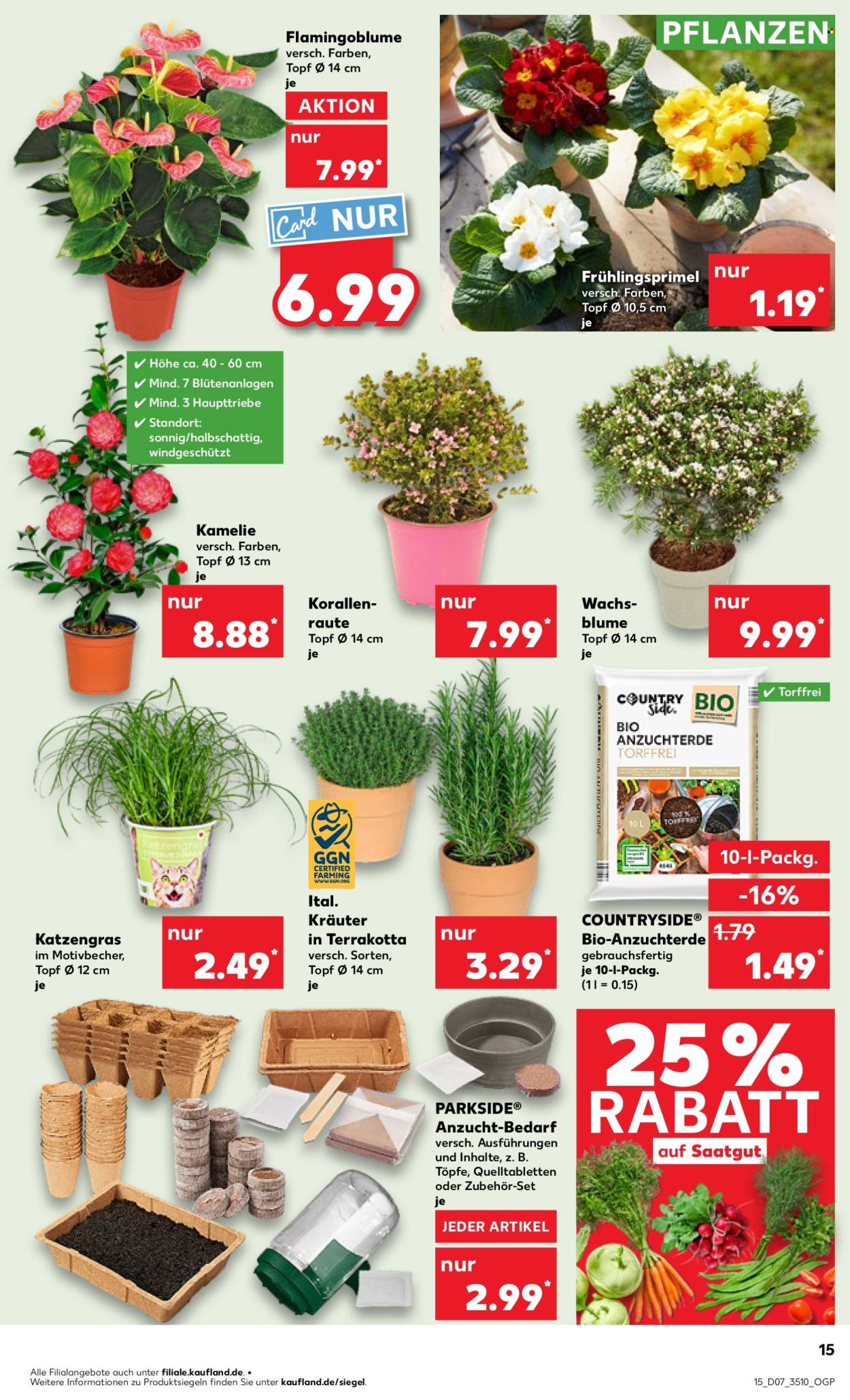 Kaufland Prospekte  - 13.02.2025 - 19.02.2025. Seite 15