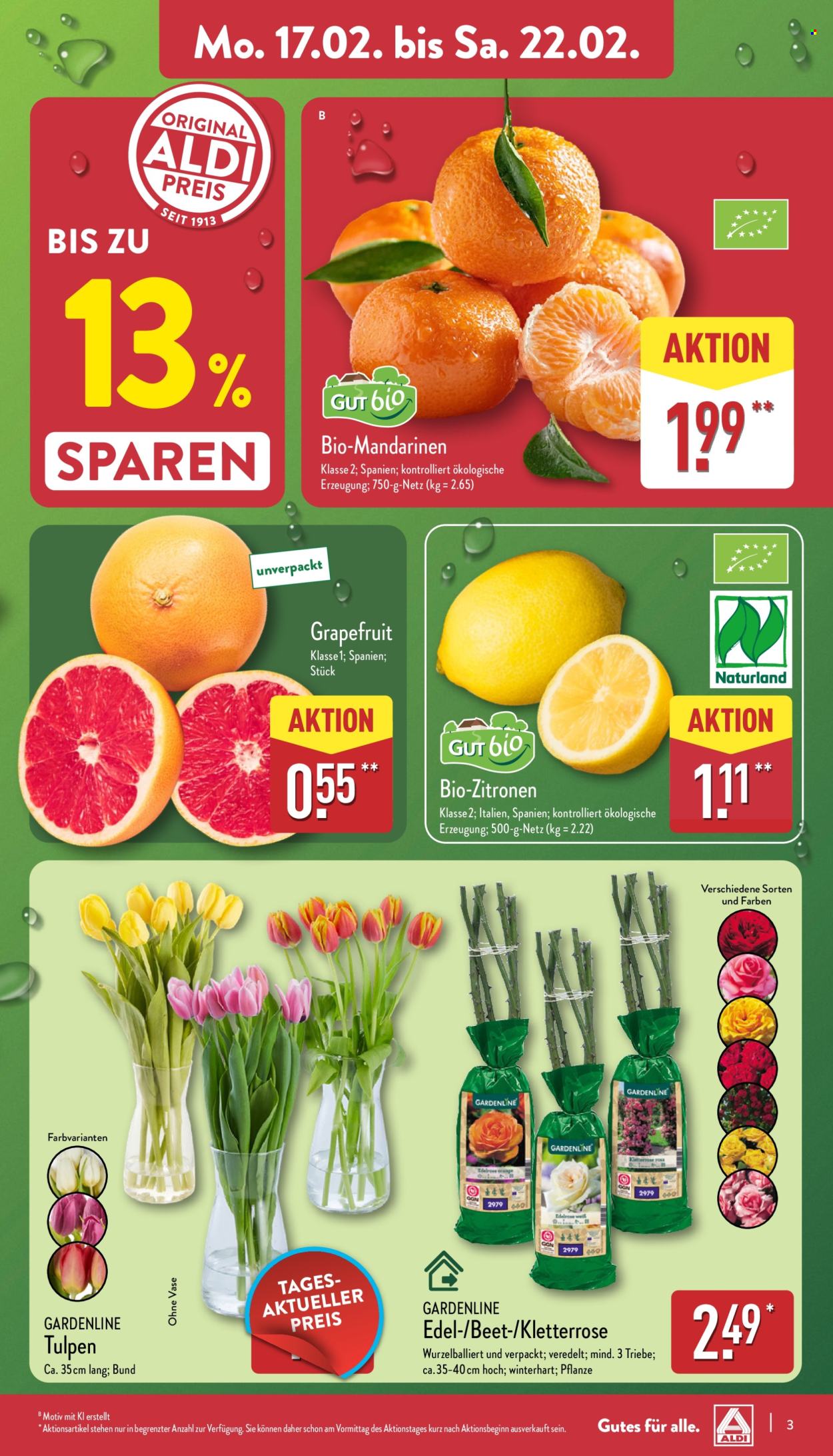 ALDI Nord Prospekte  - 17.02.2025 - 22.02.2025. Seite 3