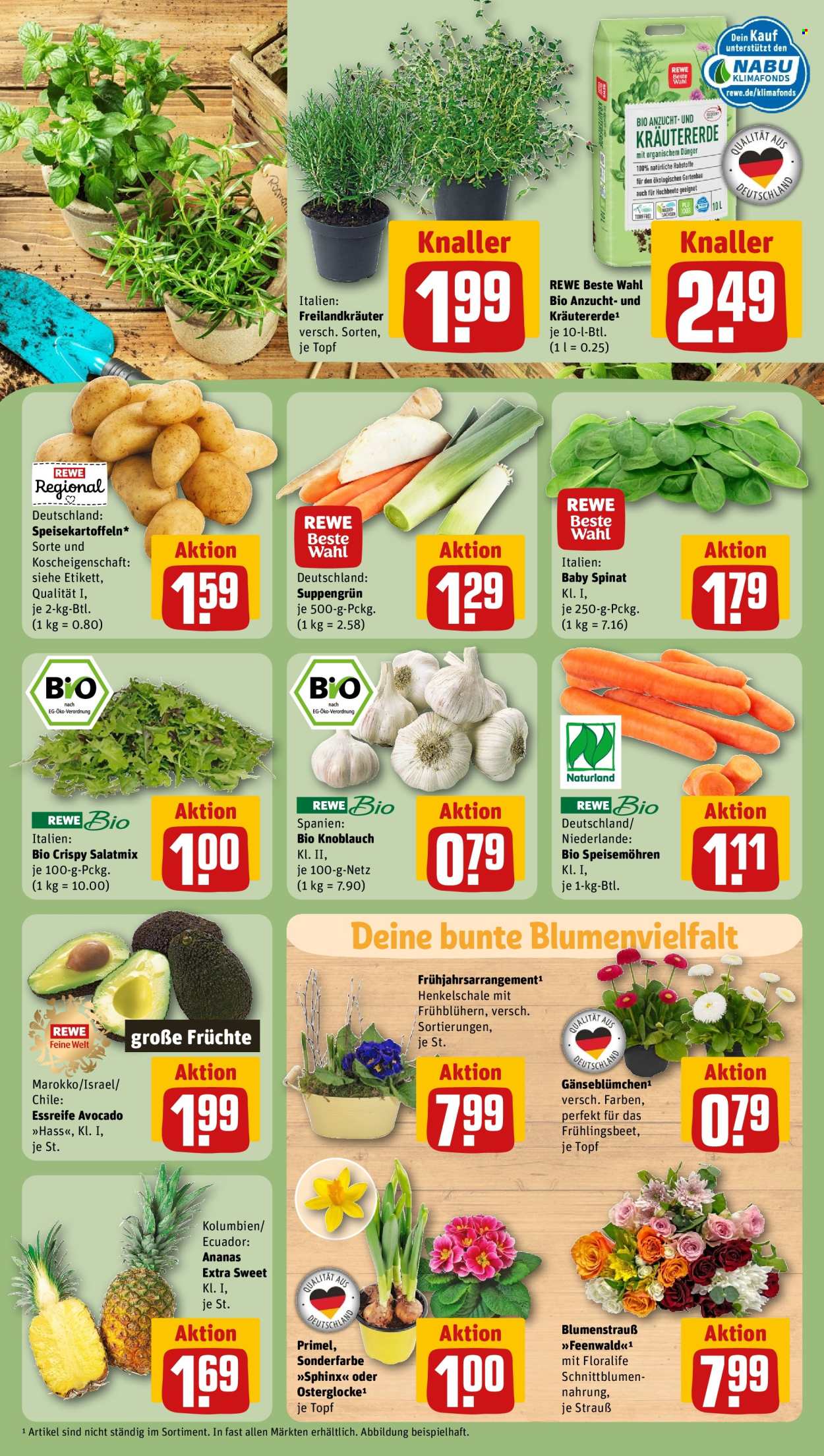 REWE Prospekte  - 17.02.2025 - 22.02.2025. Seite 9