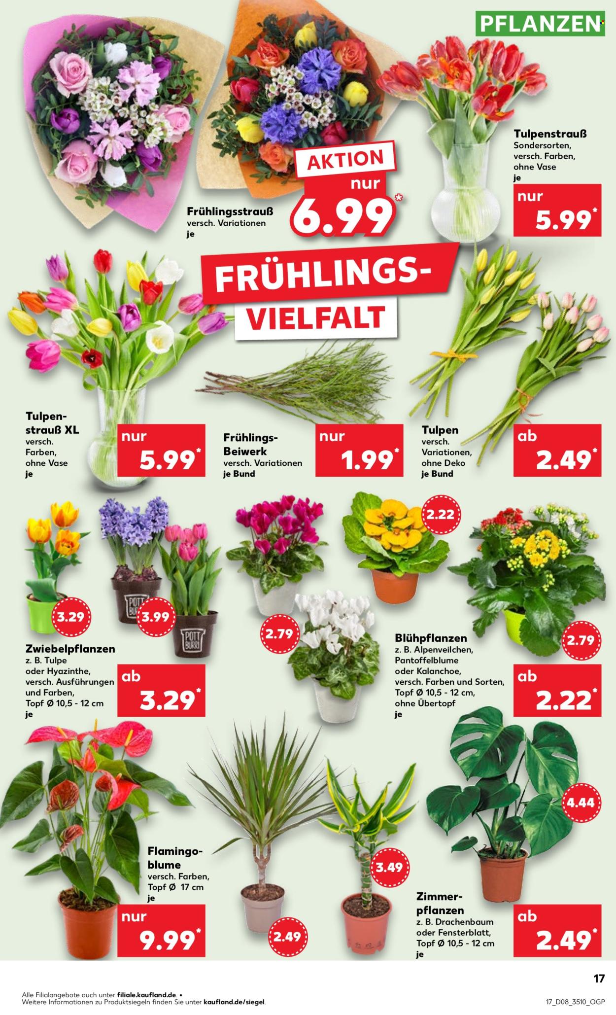 Kaufland Prospekte  - 20.02.2025 - 26.02.2025. Seite 17