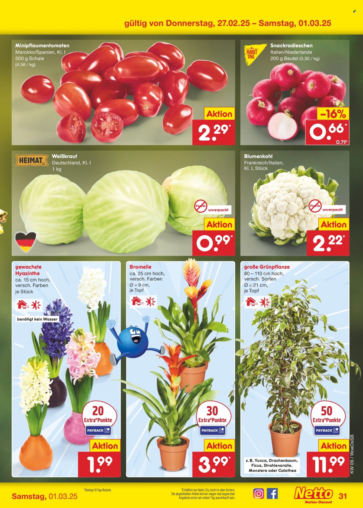 Netto Marken-Discount Prospekte  - 24.02.2025 - 1.03.2025. Seite 55