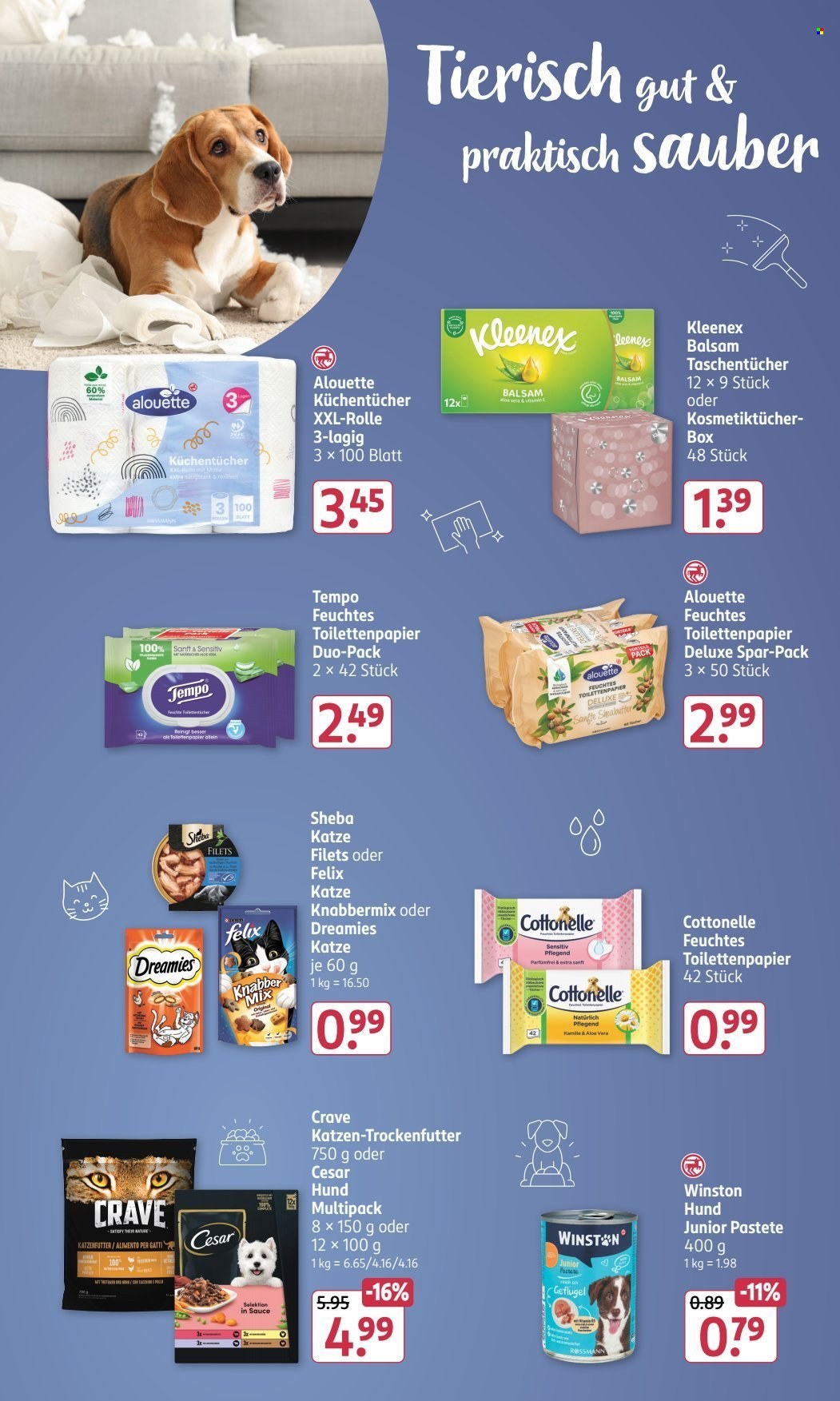 Rossmann Prospekte  - 24.02.2025 - 28.02.2025. Seite 17