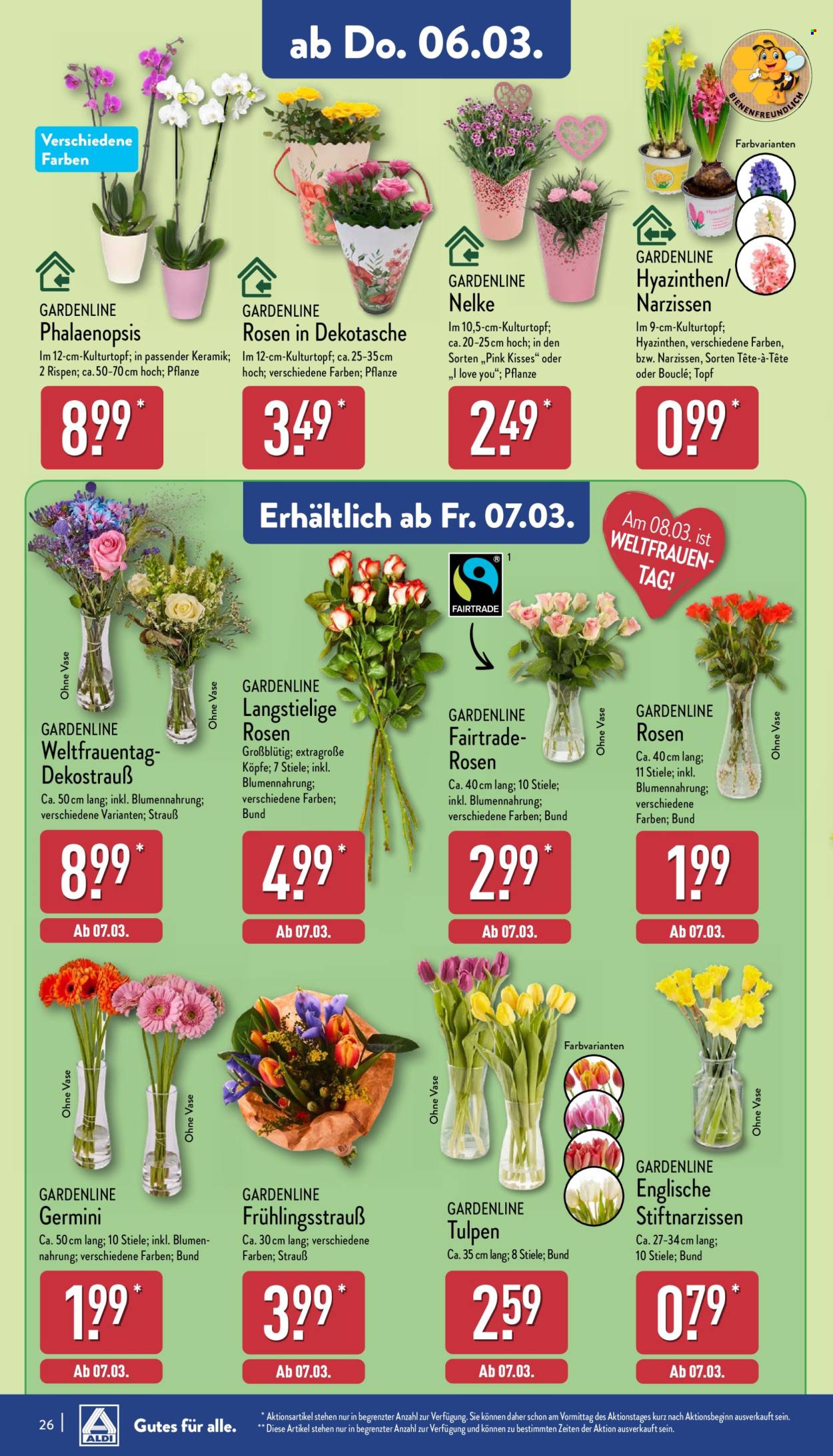 ALDI Nord Prospekte  - 3.03.2025 - 8.03.2025. Seite 26