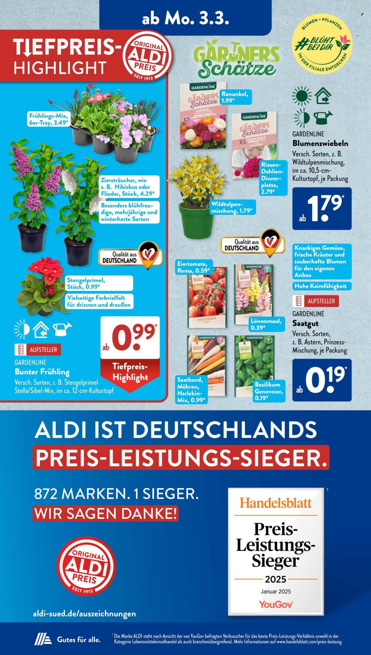 ALDI SÜD Prospekte  - 3.03.2025 - 8.03.2025. Seite 16