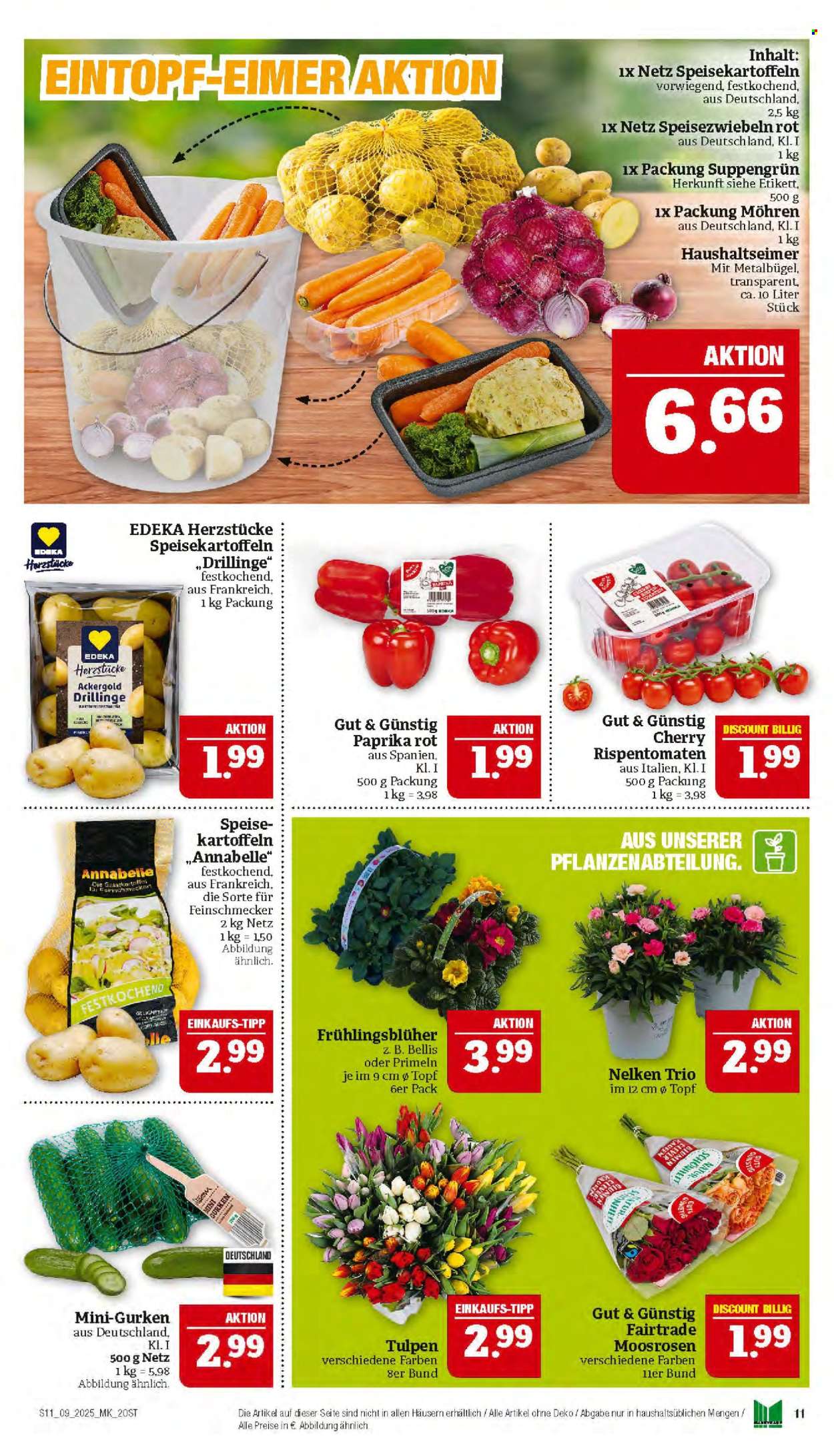 Marktkauf Prospekte  - 24.02.2025 - 1.03.2025. Seite 11