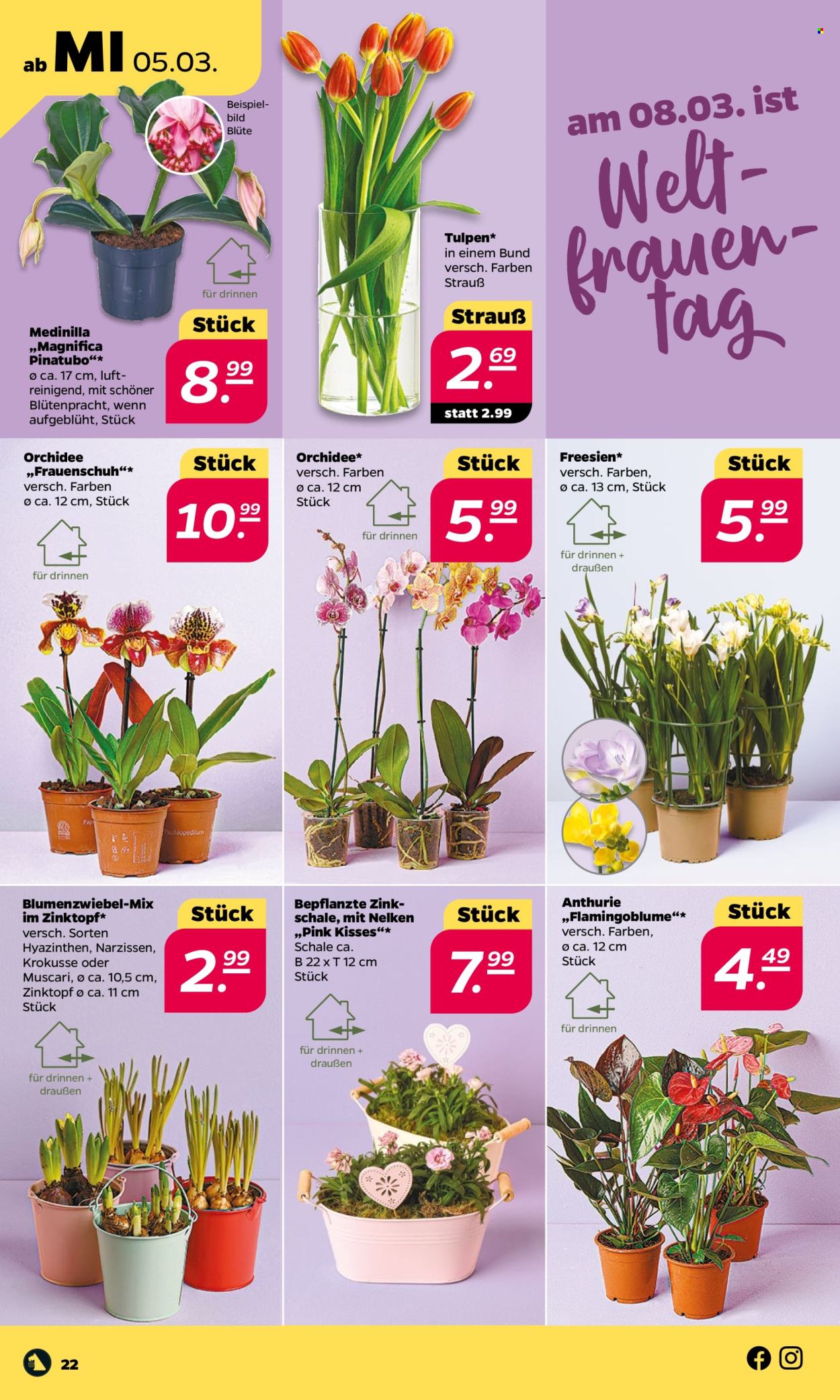 Netto Prospekte  - 3.03.2025 - 8.03.2025. Seite 22