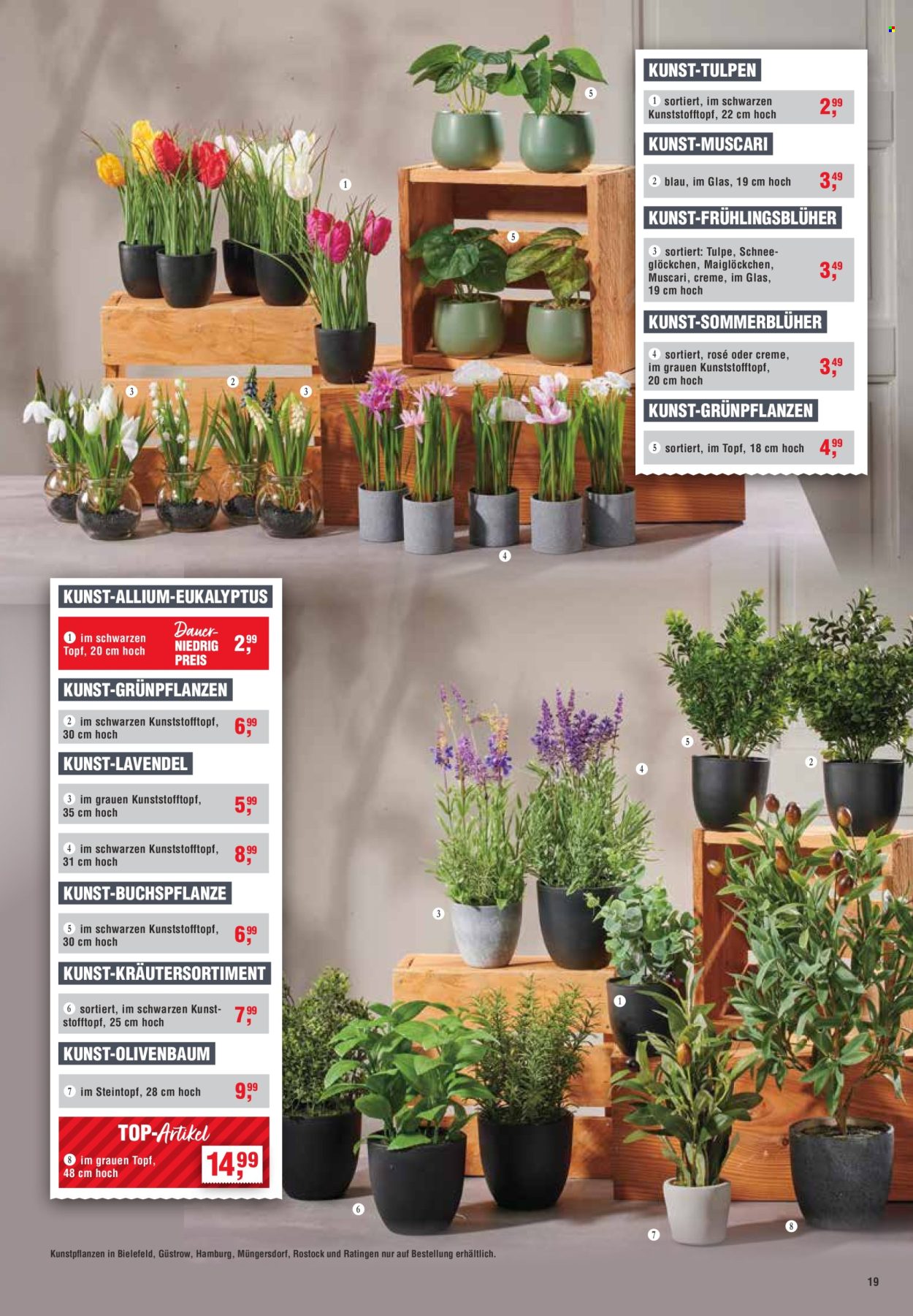 Handelshof Prospekte  - 6.03.2025 - 12.03.2025. Seite 19